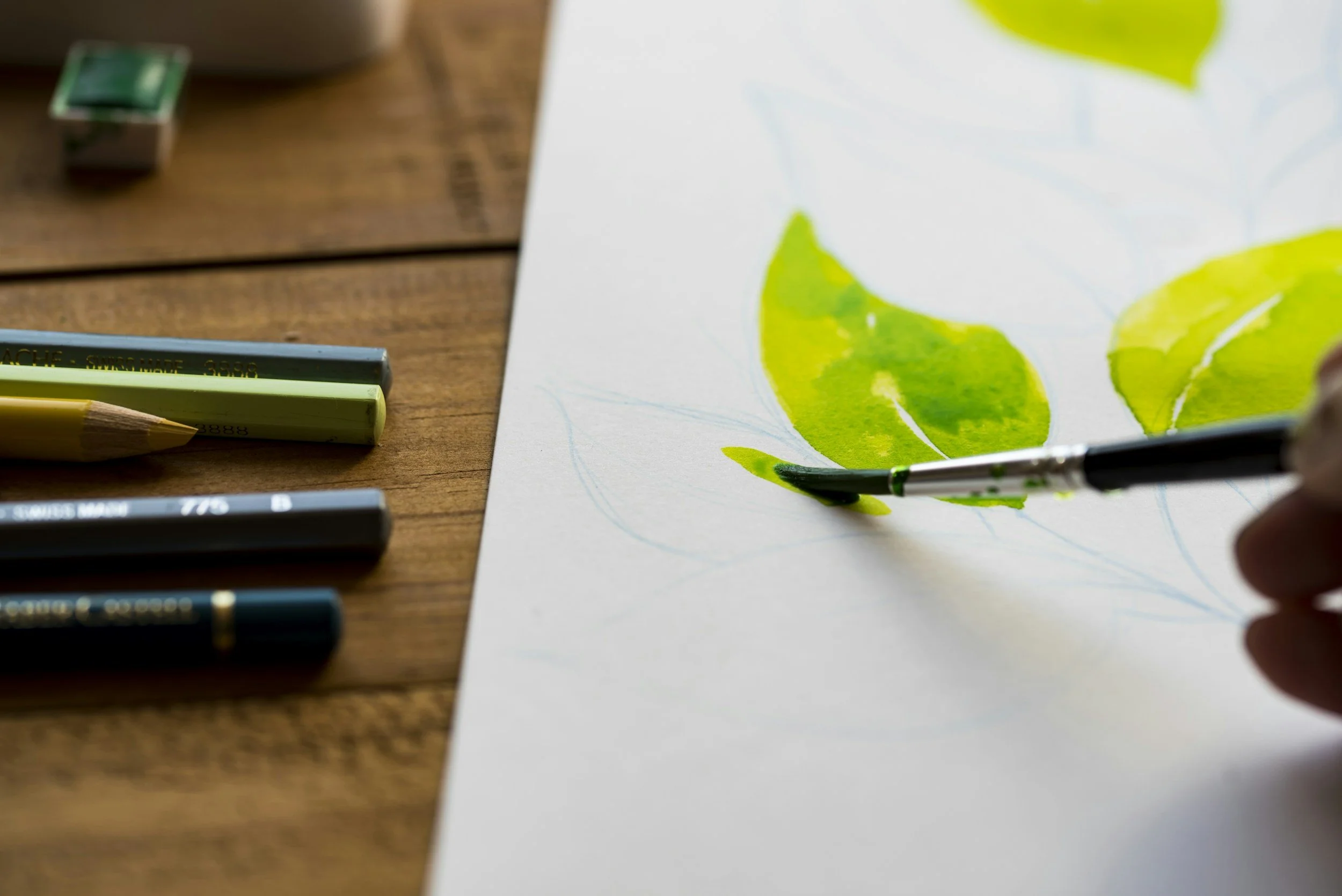 Colored pencils and a paintbrush resting on a sketch of green leaves on paper, with art supplies on a wooden surface.