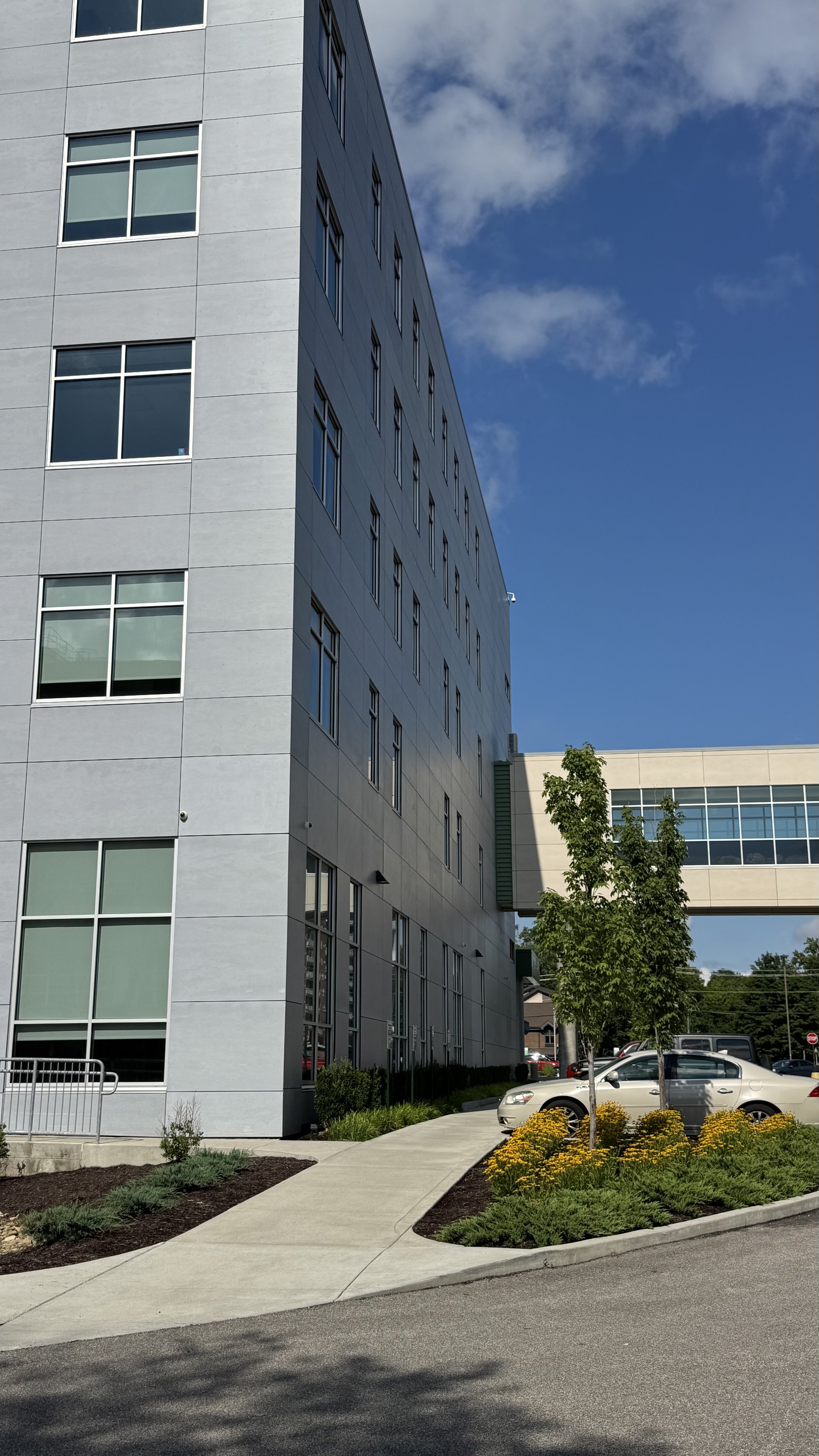 A modern multi-story building with large windows and a light-colored facade, with a clear blue sky and some clouds. In the foreground, there is a parking lot with several cars, small trees, and landscaped flower beds with yellow flowers.