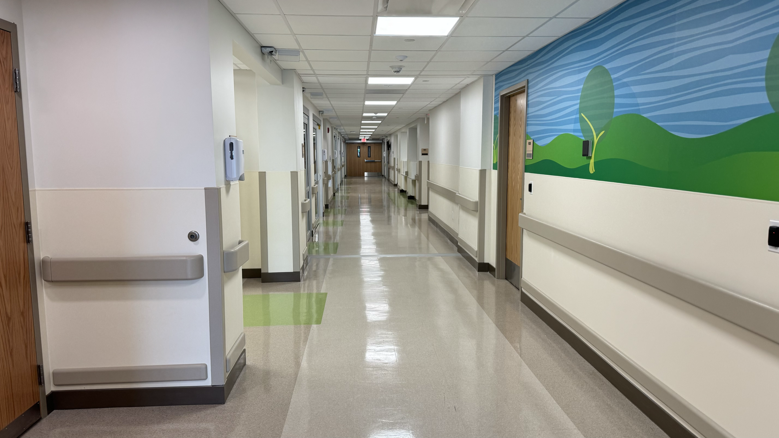 Rivers Health emergency department corridor with handrails, patient-room doors, clinical lighting, and a nature-themed wall mural.