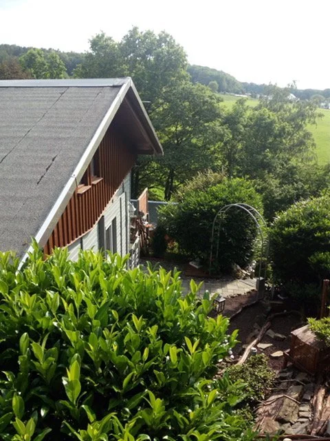 Garten bei einem Haus mit Dach, Büschen und Bäumen im Hintergrund, sonniger Tag.