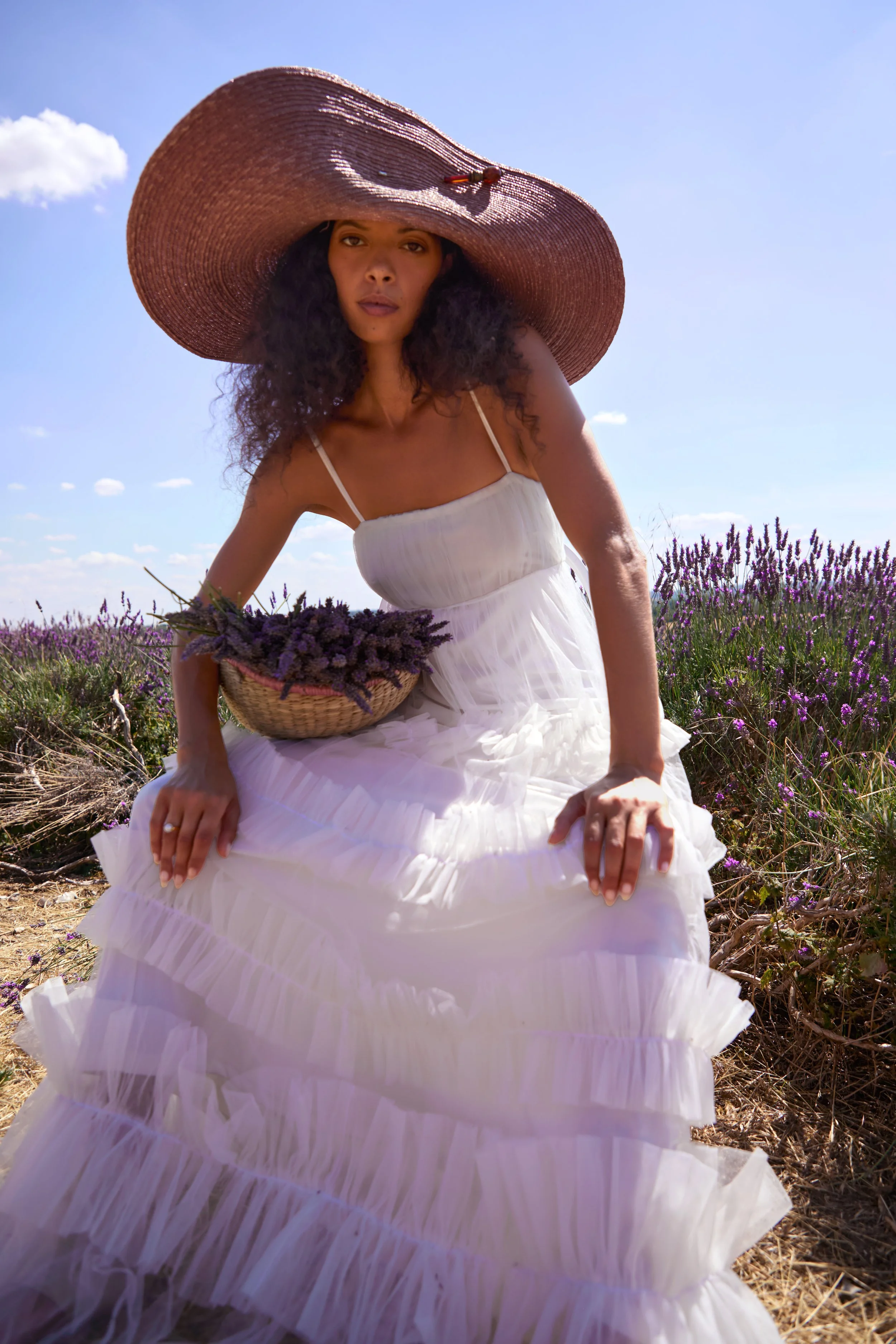 lavender-fields-photoshoot