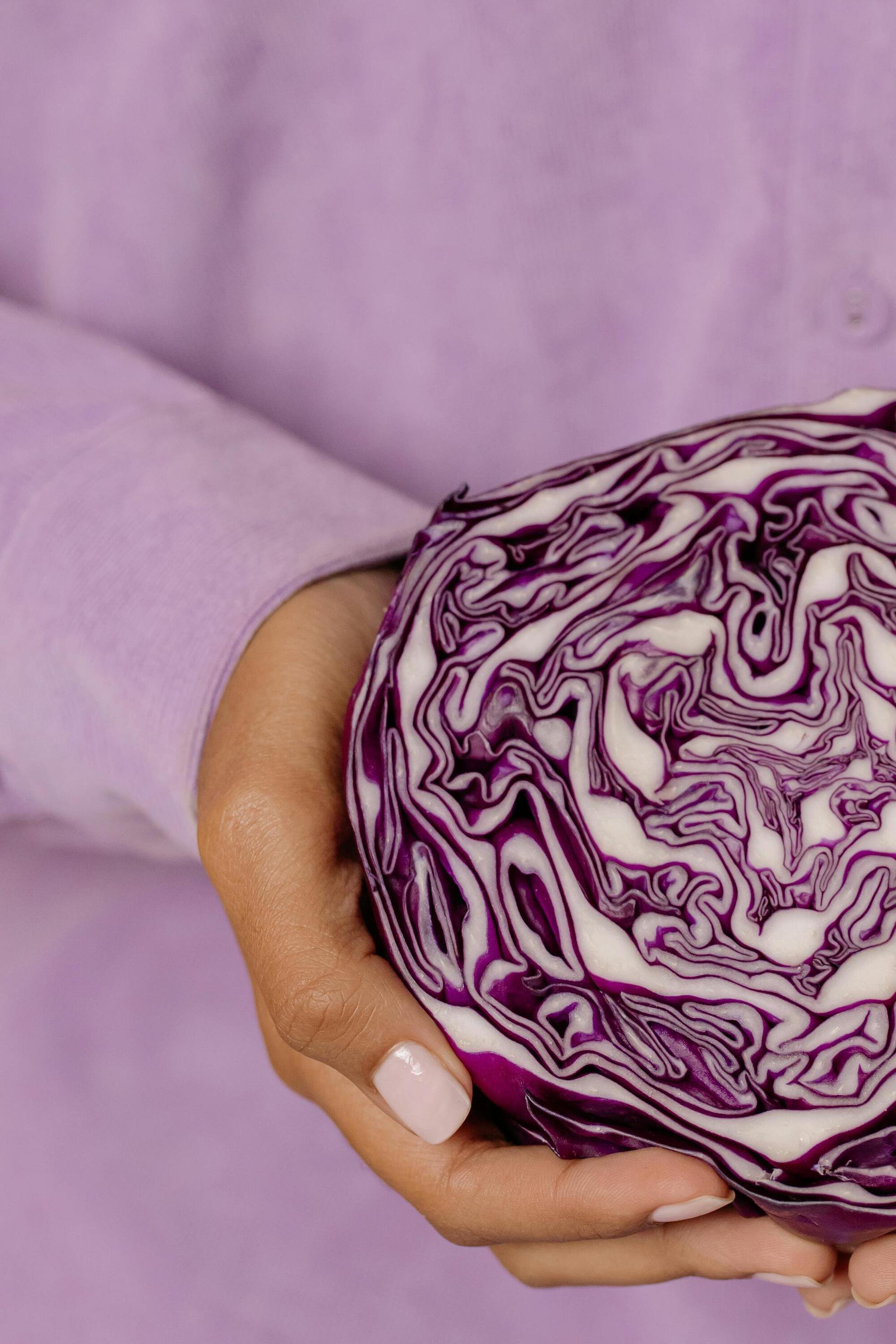 A hand holding a halved purple cabbage with intricate white and purple swirl patterns against a light purple background.