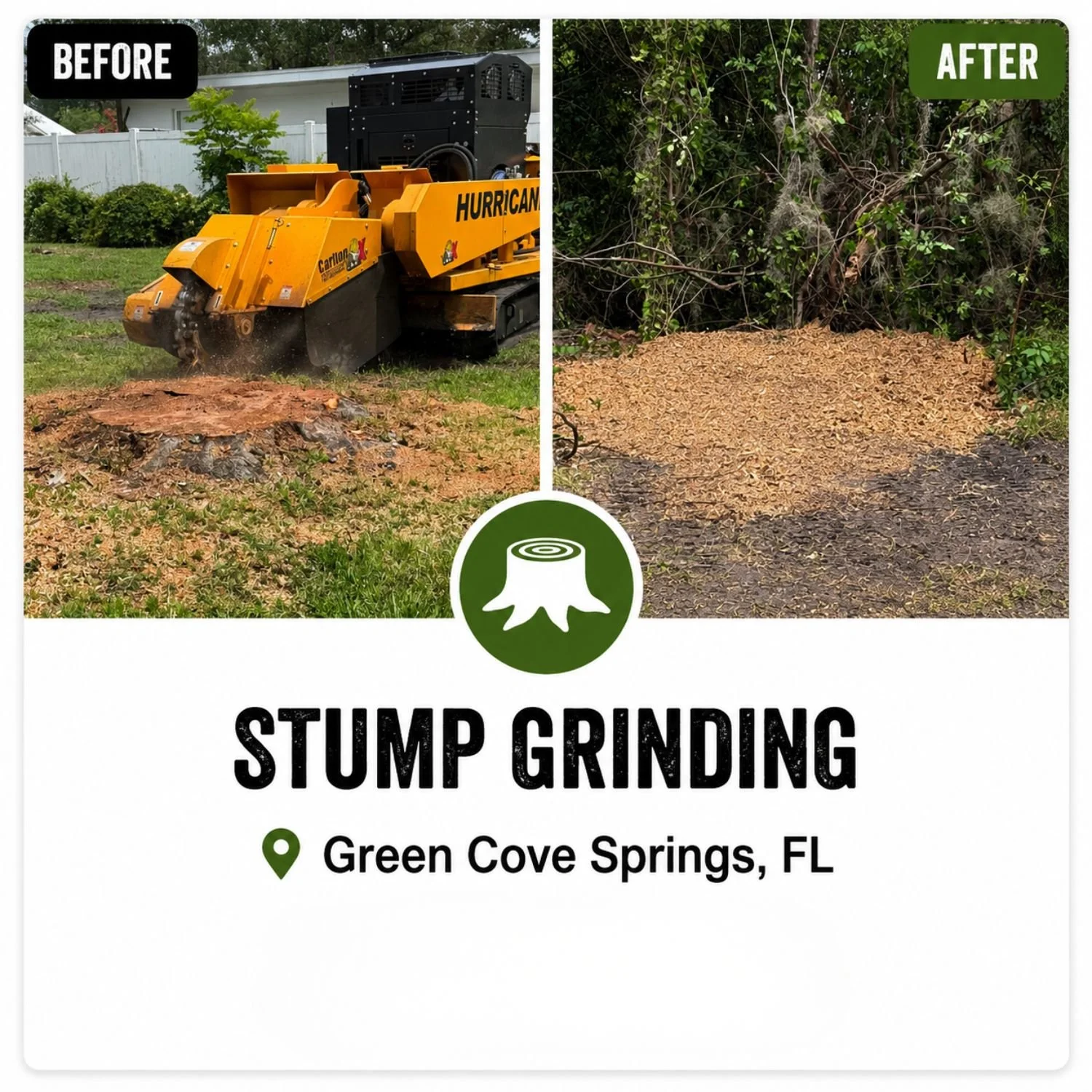 Before and after images of stump grinding, showing a large tree stump being ground down with a machine and then smooth mulch at Green Cove Springs, FL.