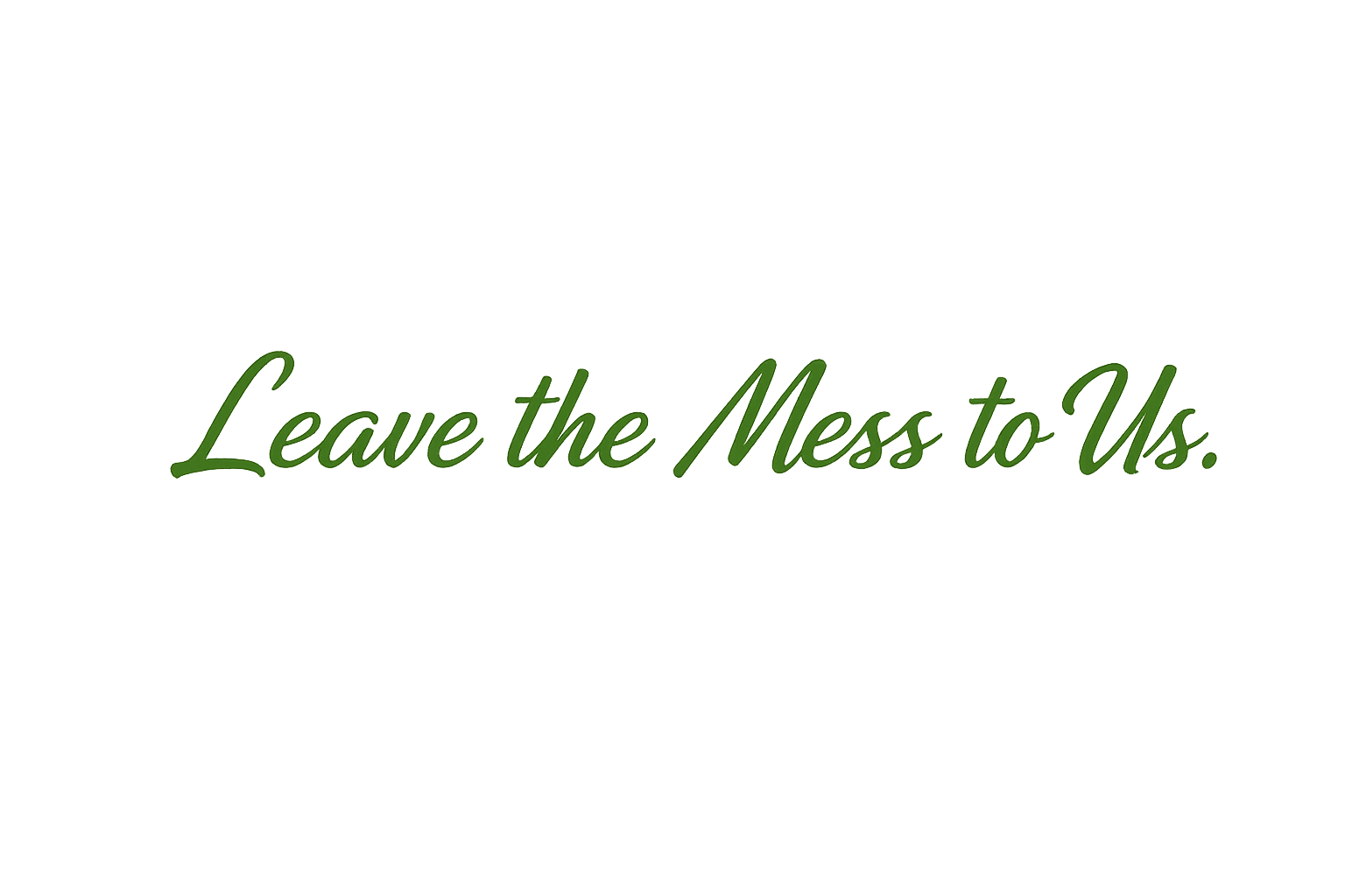 Text on a black background that says 'Leave the Mess to Us' in green cursive font.