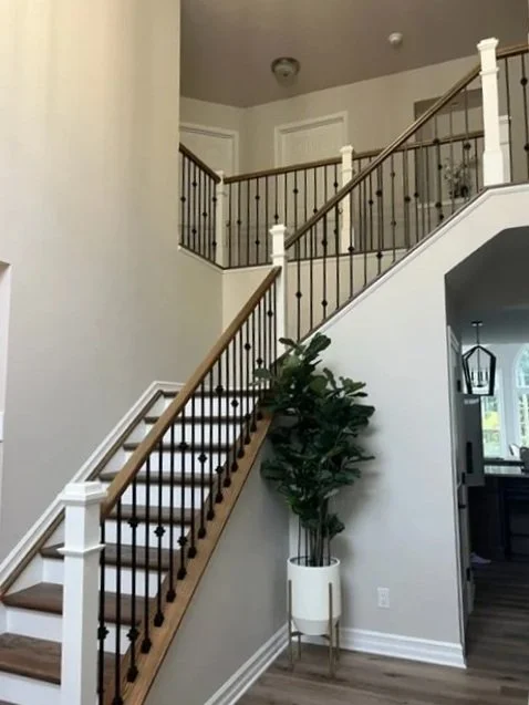 Indoor staircase with wooden handrail and black metal balusters, next to a potted plant in a white planter, in a home with white walls and gray flooring.