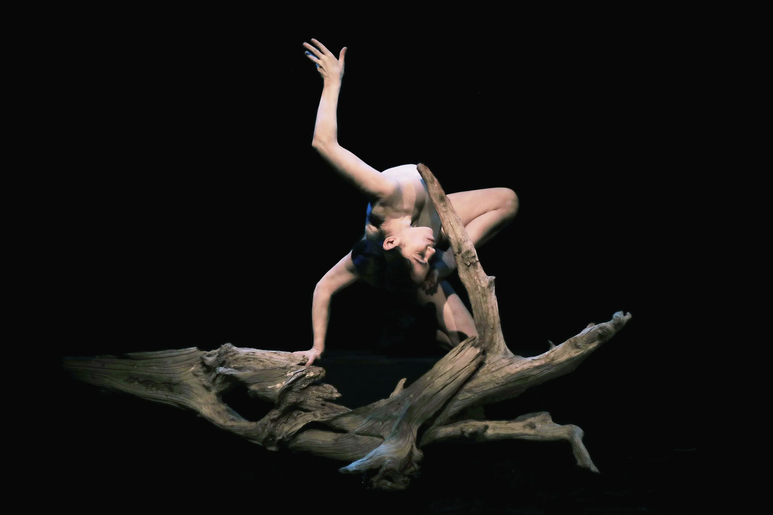 A performer dressed in minimal costume balancing on a piece of driftwood against a black background.