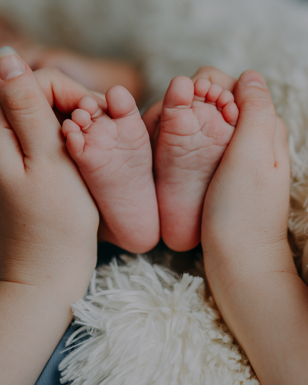 Close-up of a baby's feet being held gently by adult hands, resting on a soft, fluffy blanket.