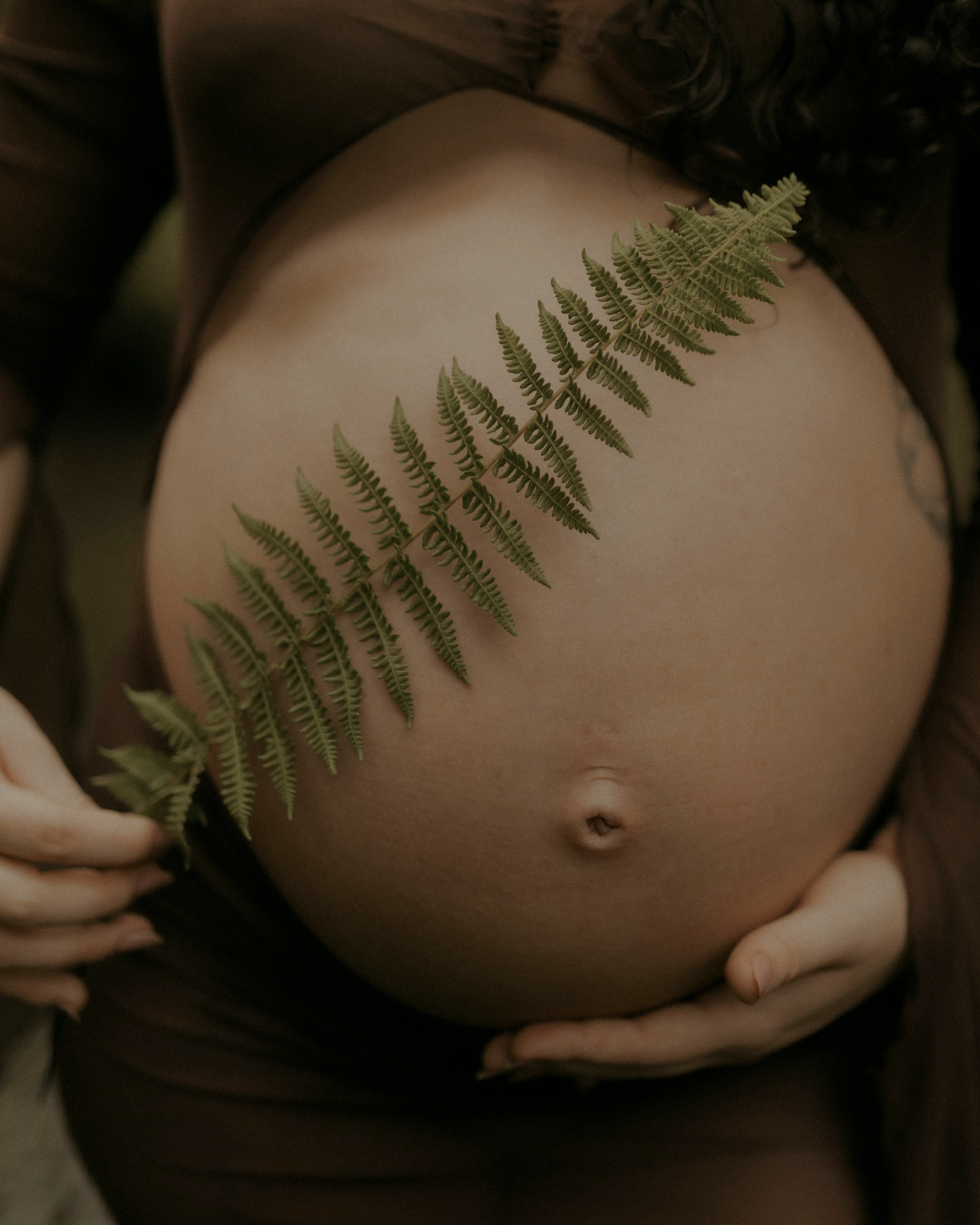 Close-up of a pregnant woman's belly with a fern leaf resting on it, and hands gently holding the bottom of the belly.