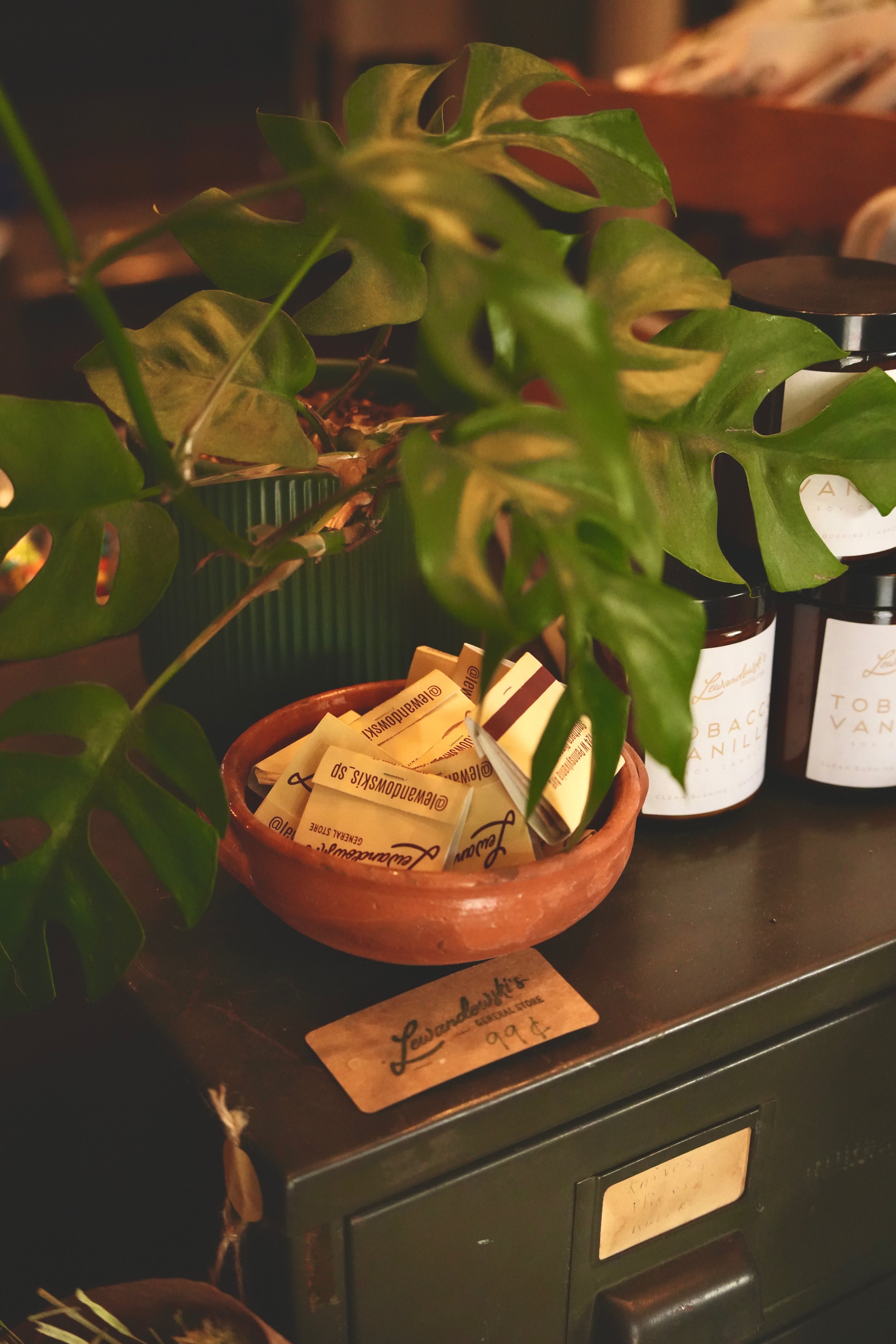 A potted plant with green leaves sits on a wooden counter next to several jars of essential oils, with handwritten price tags in a shop.