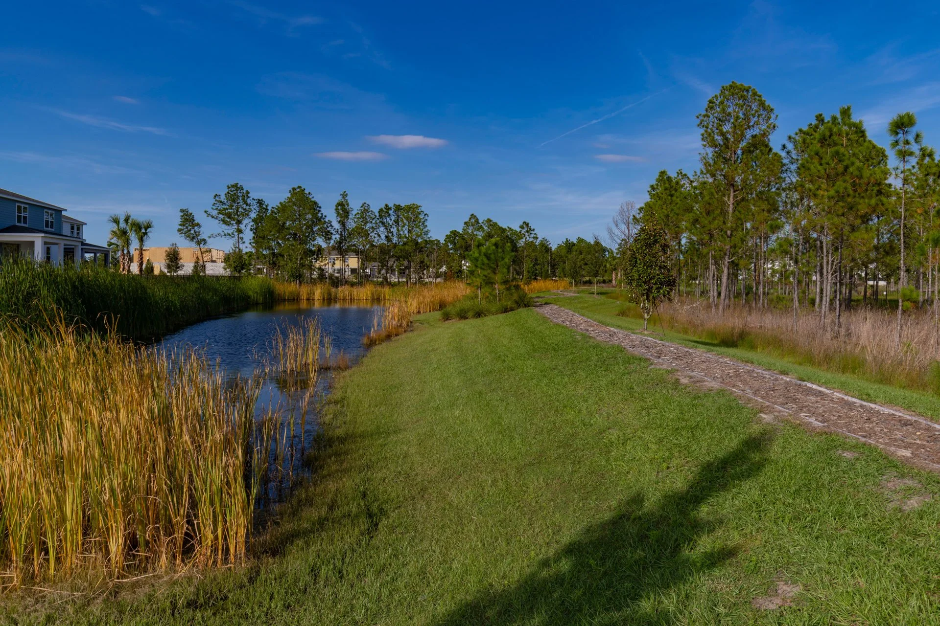A scenic view of a grassy park with a small pond, surrounded by trees and residential houses in the background under a blue sky with a few clouds.