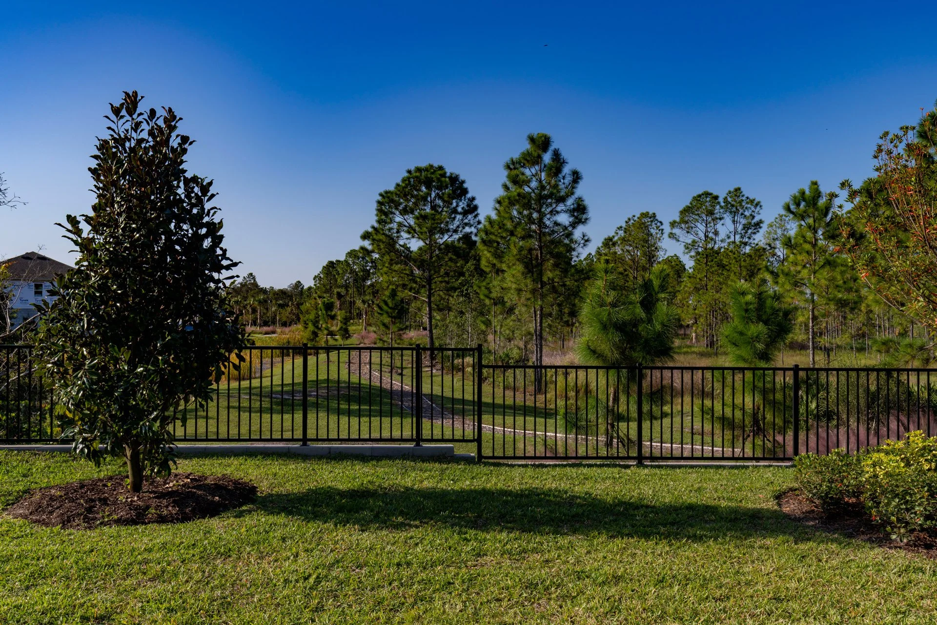 A backyard with a black metal fence, green grass, trees, and a clear blue sky.