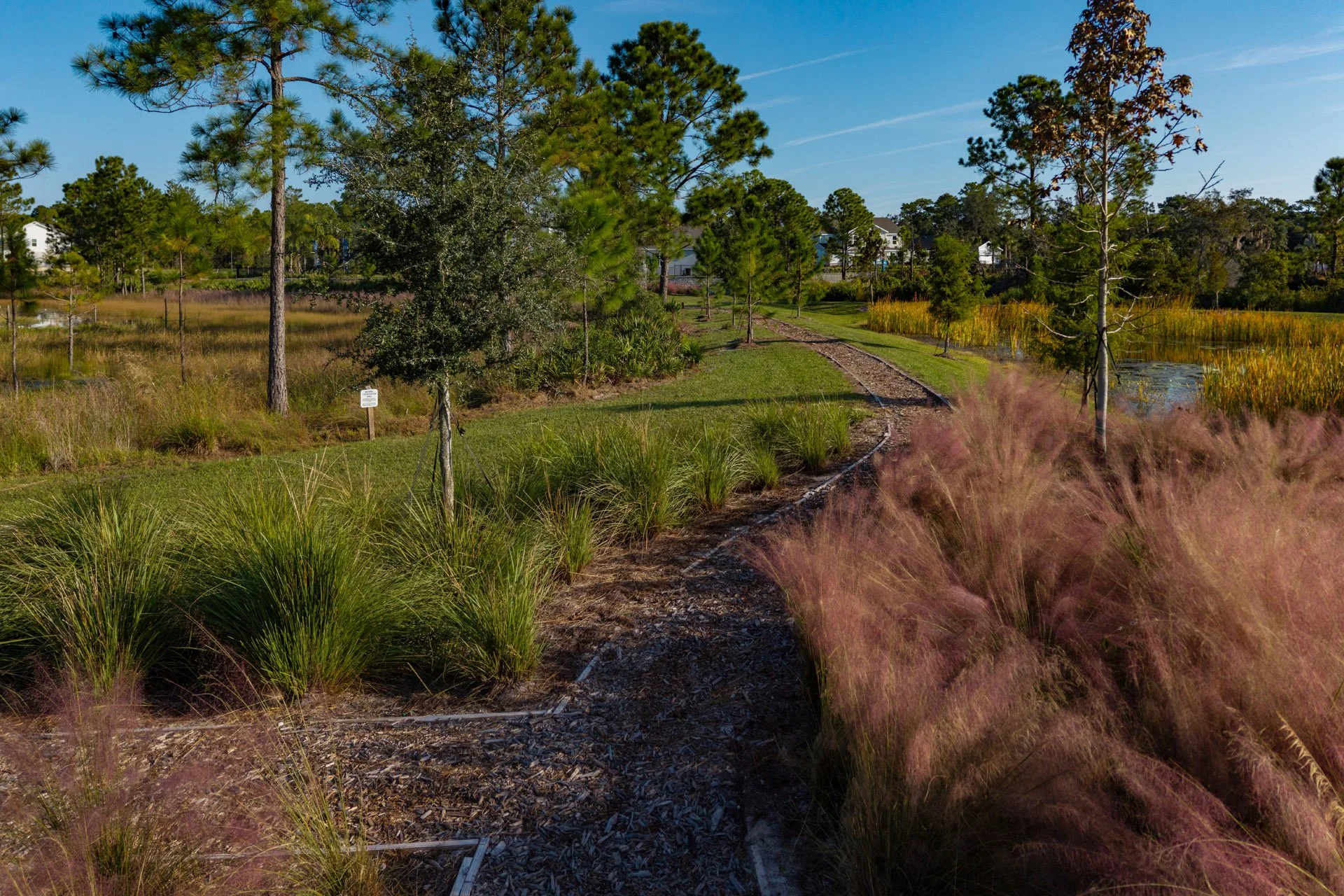 A scenic trail in a park surrounded by trees, grass, and some wetland area, under a clear blue sky.
