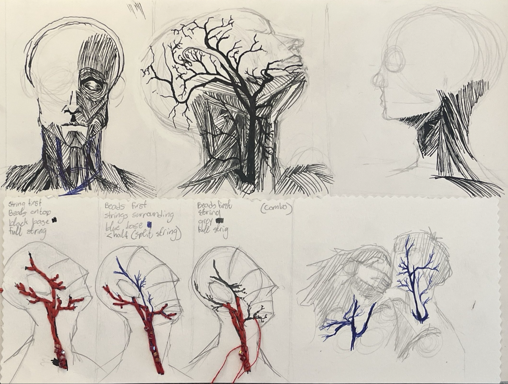 Studies and sketches of human heads and necks with focus on anatomy, including muscles, nerves, and skeletal structure, using pencil and colored ink.