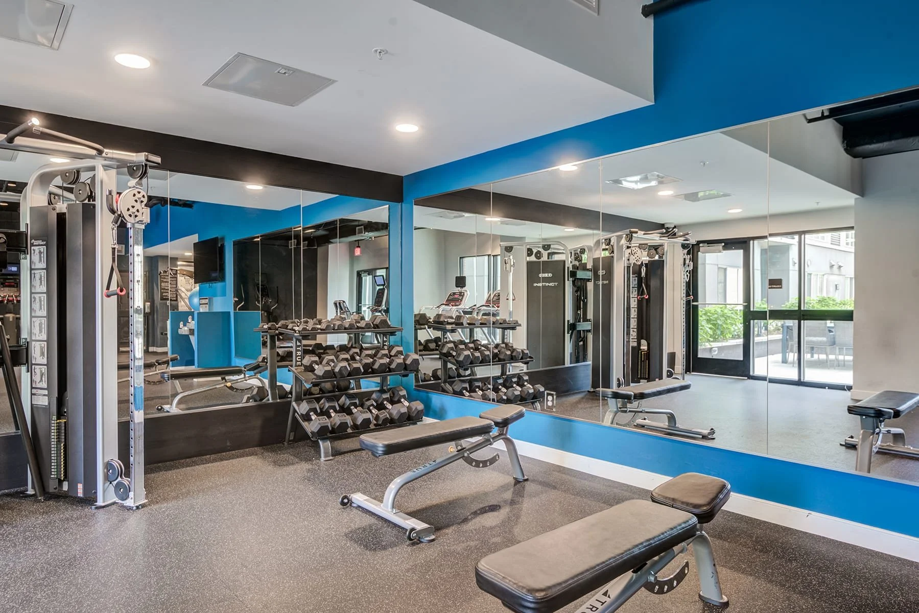 Modern gym with free weights, benches, and exercise machines, mirrored wall, and large window providing natural light.