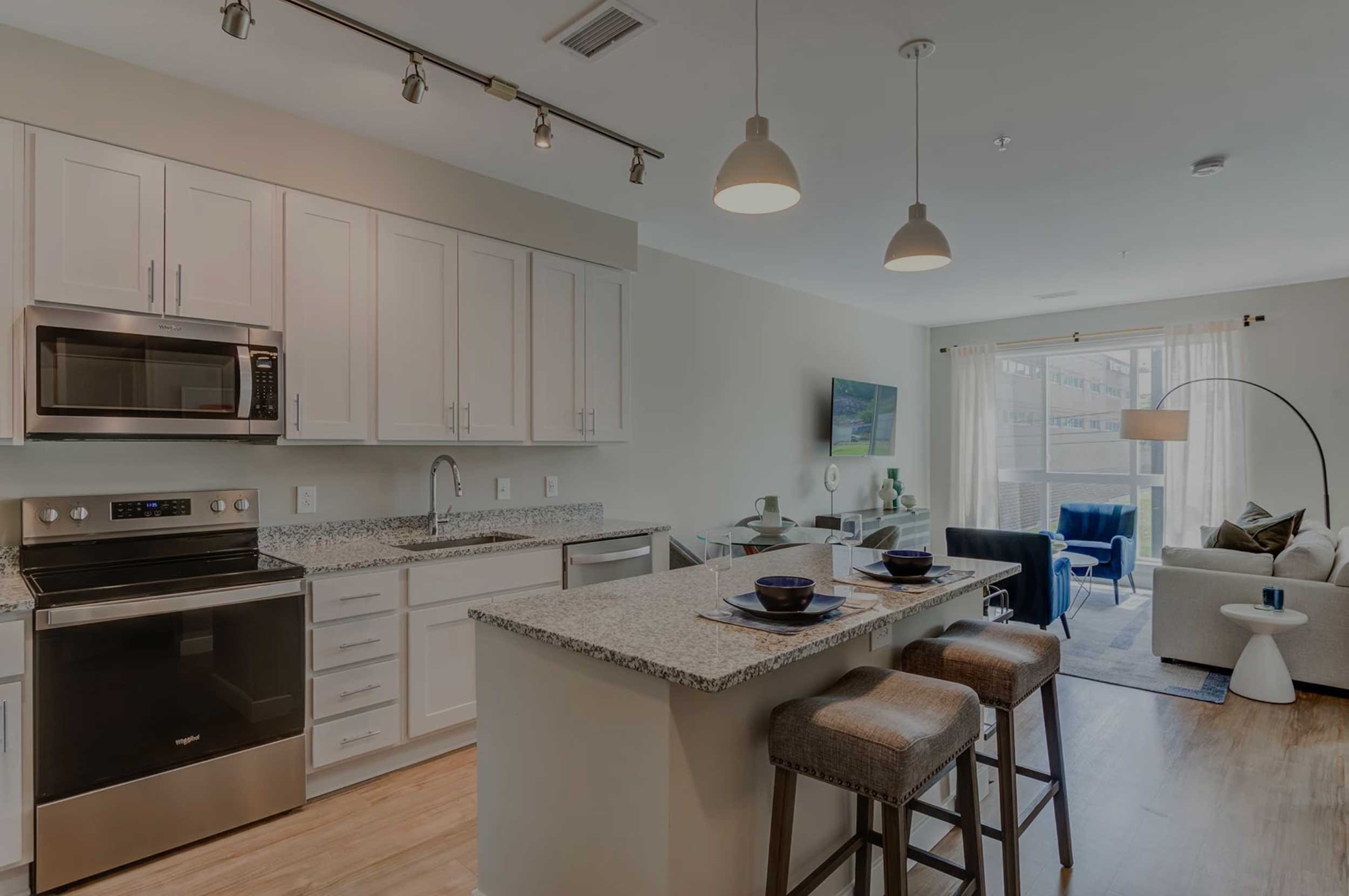 Modern one-bedroom apartment interior with quartz countertops at Vesta Parkside 