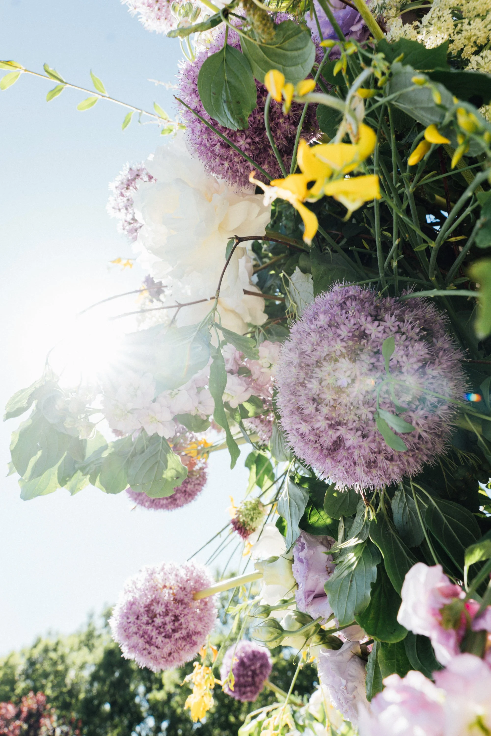 Alma Flower-15.jpg