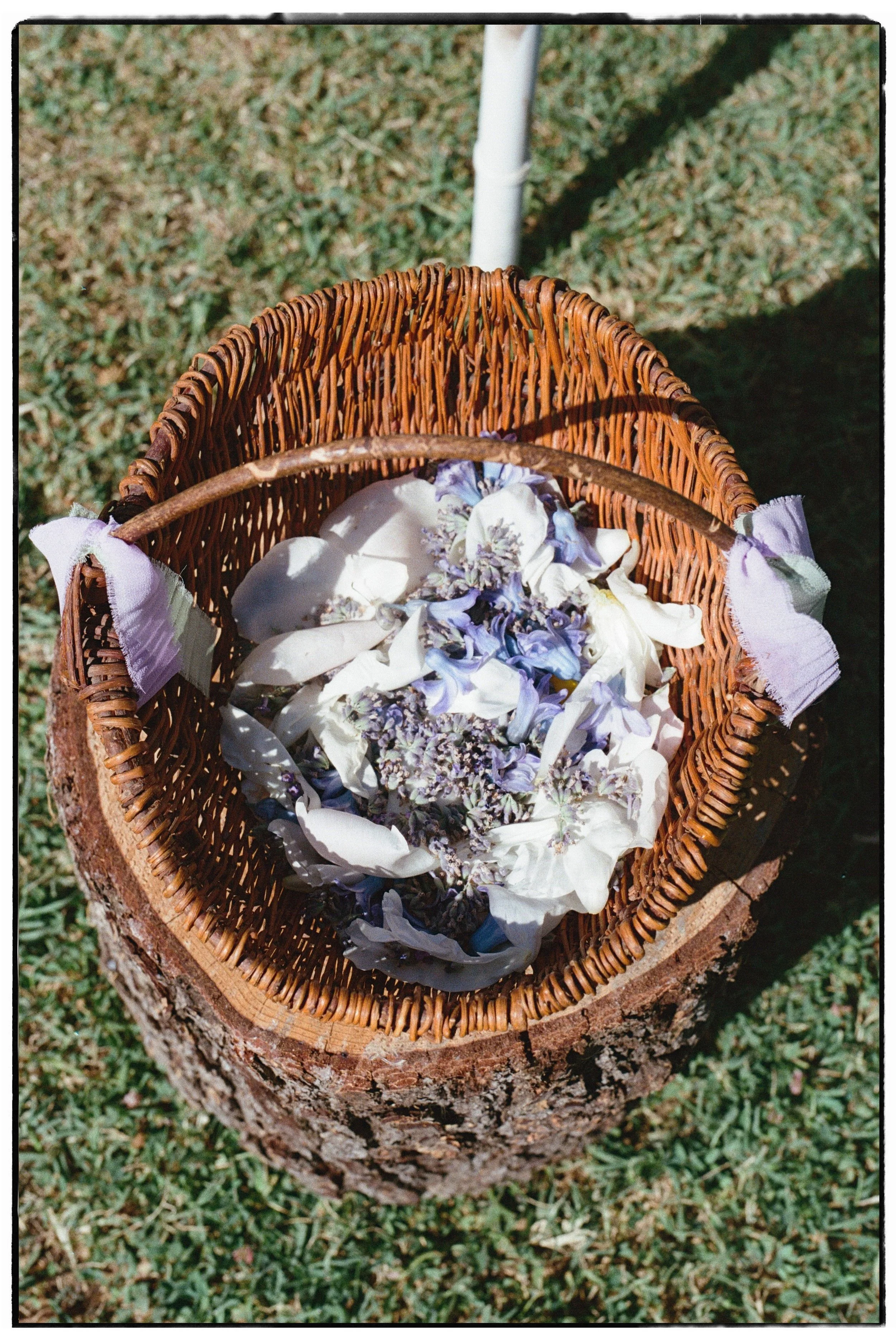 Alma Flower 04.jpg