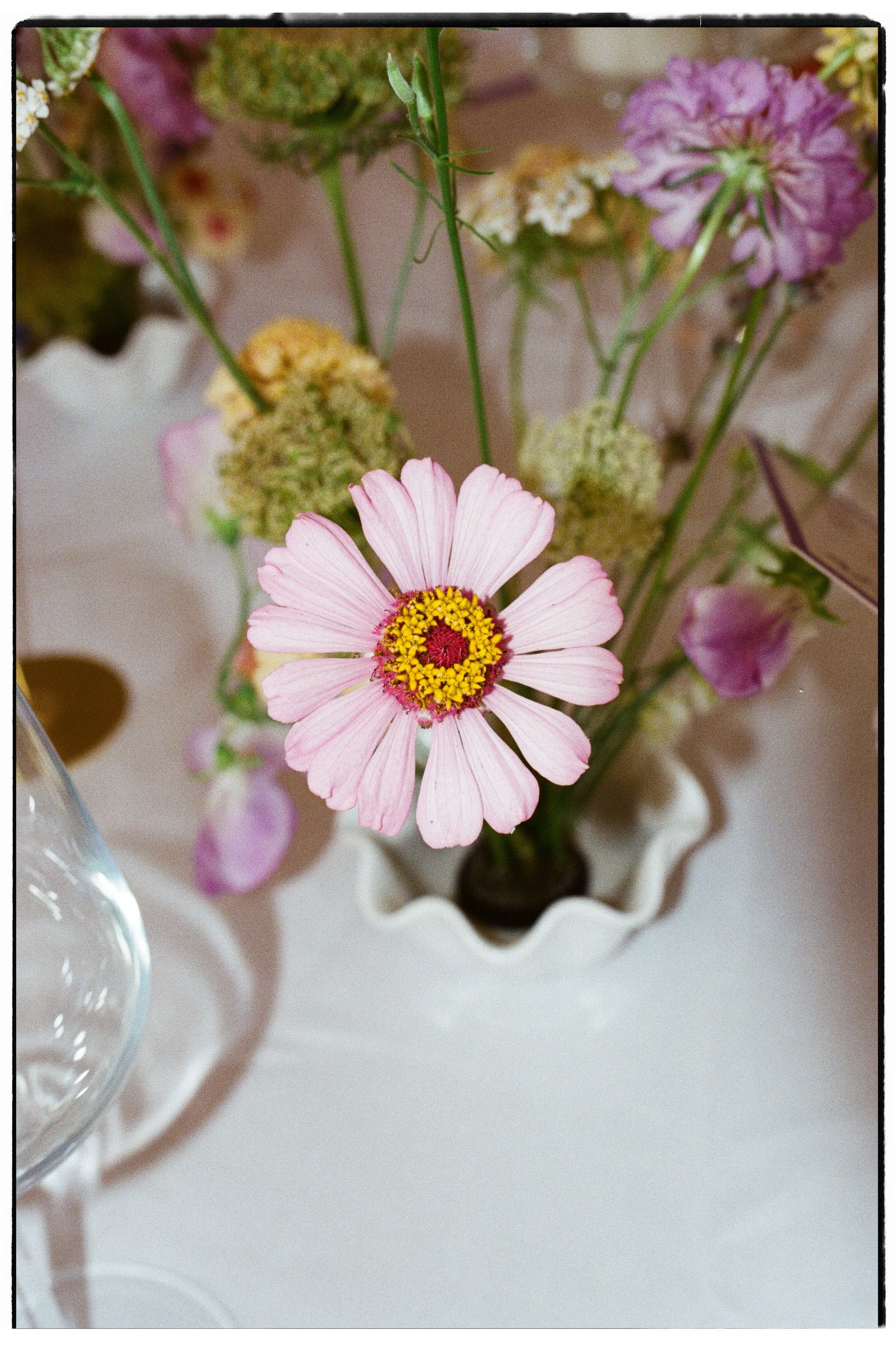 Alma Flower 11.jpg