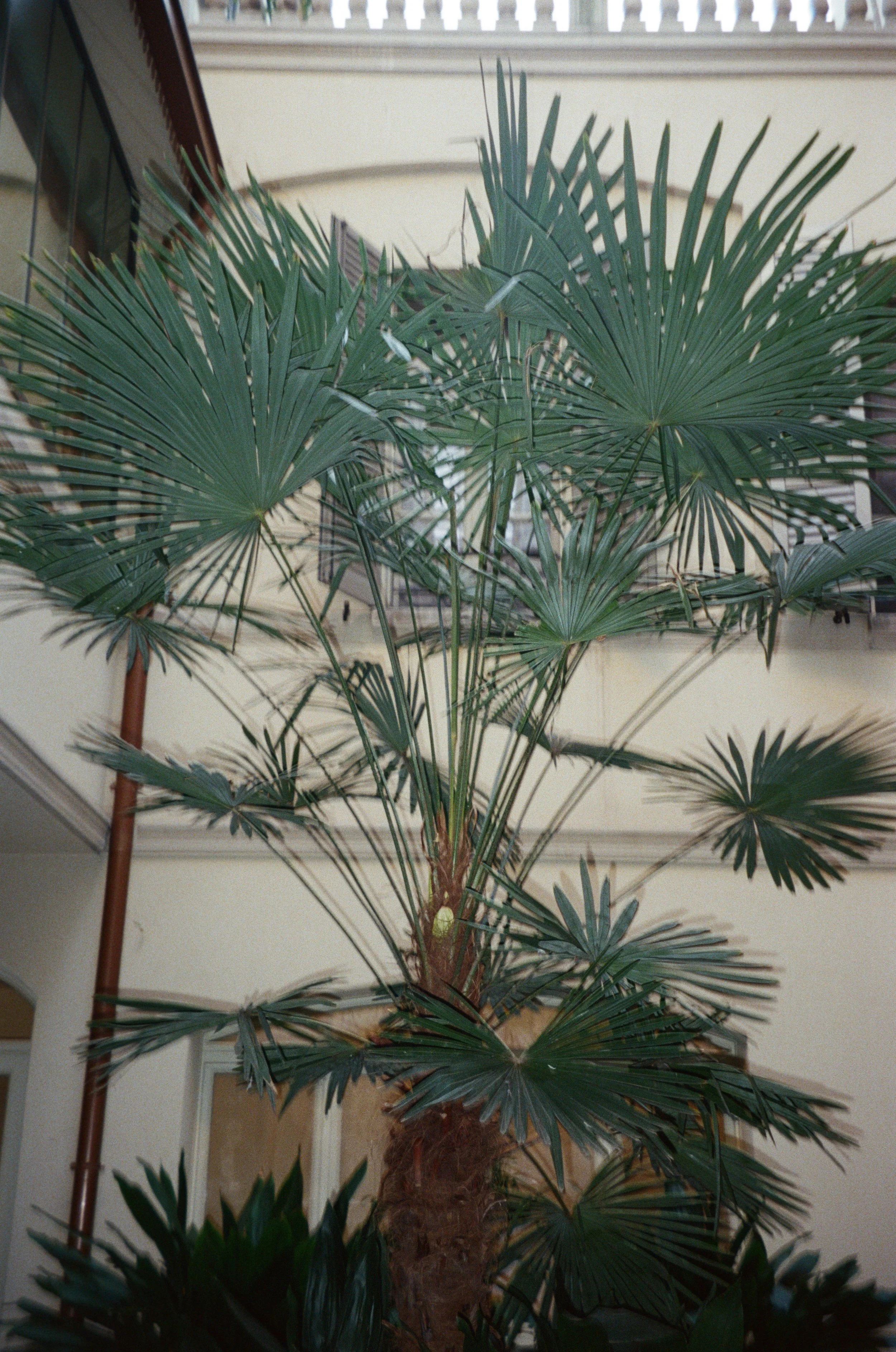 0013_13.jpg
