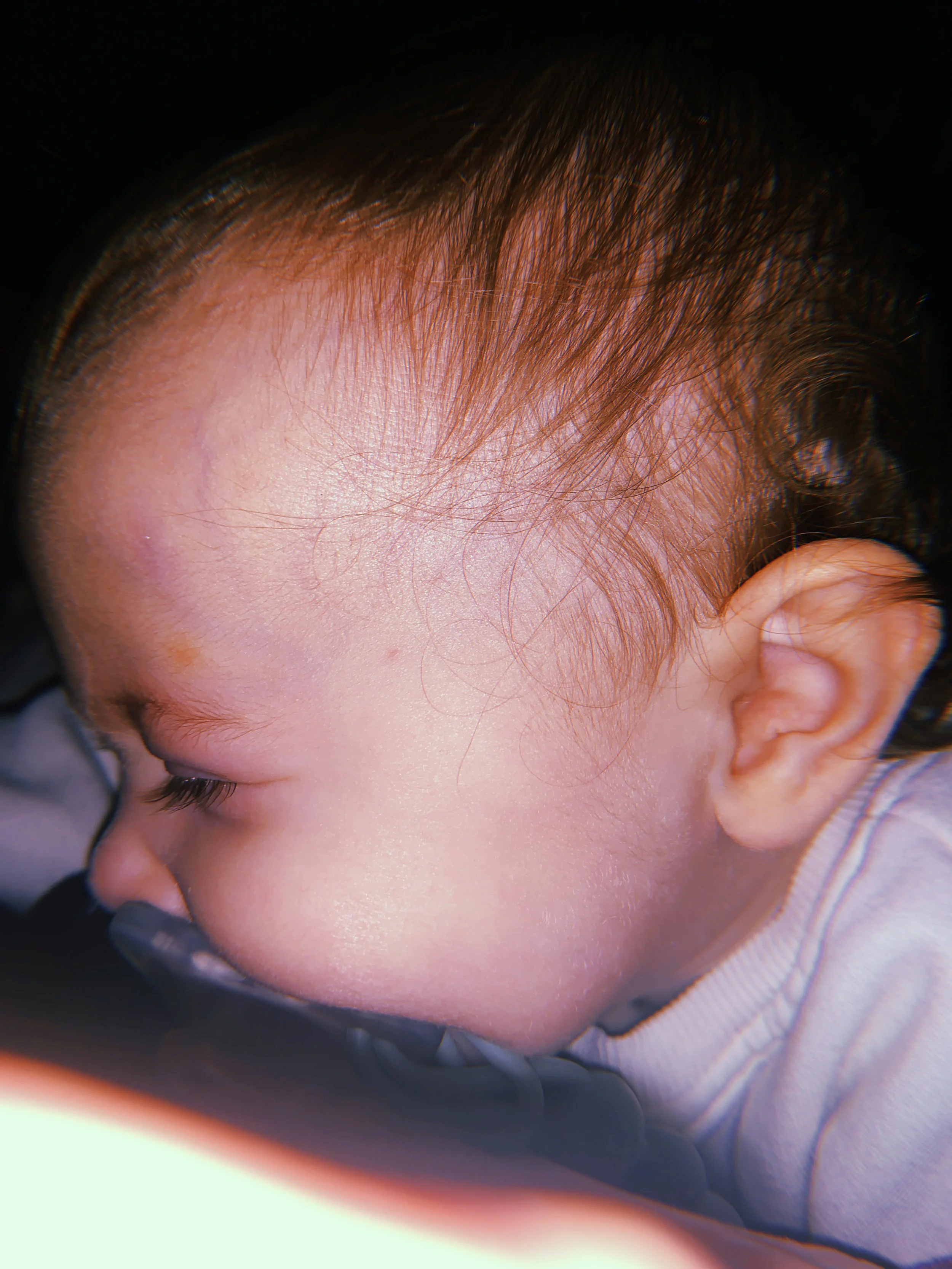2023-12-09 17.JPG