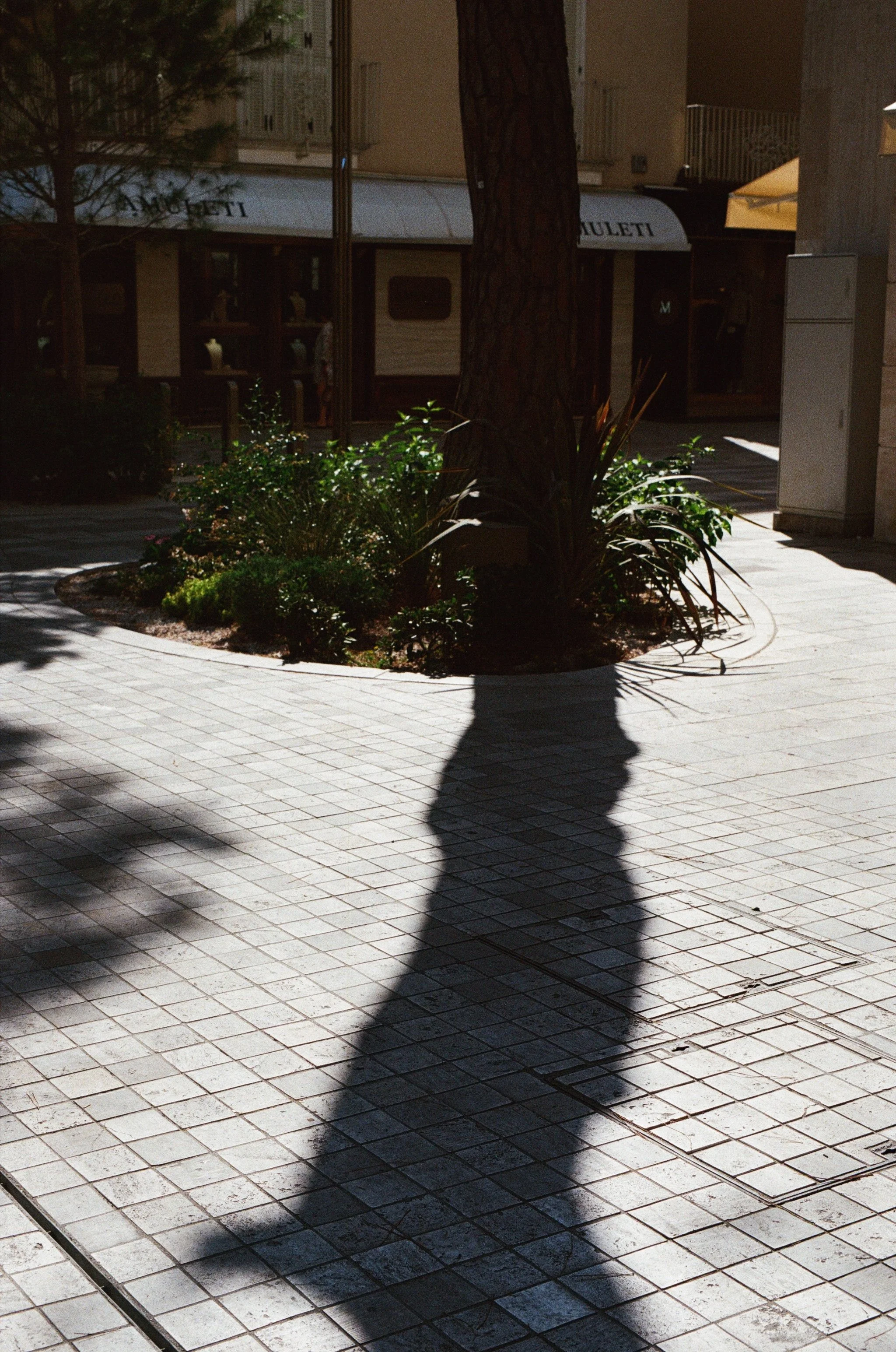 0008_8A (1).jpg