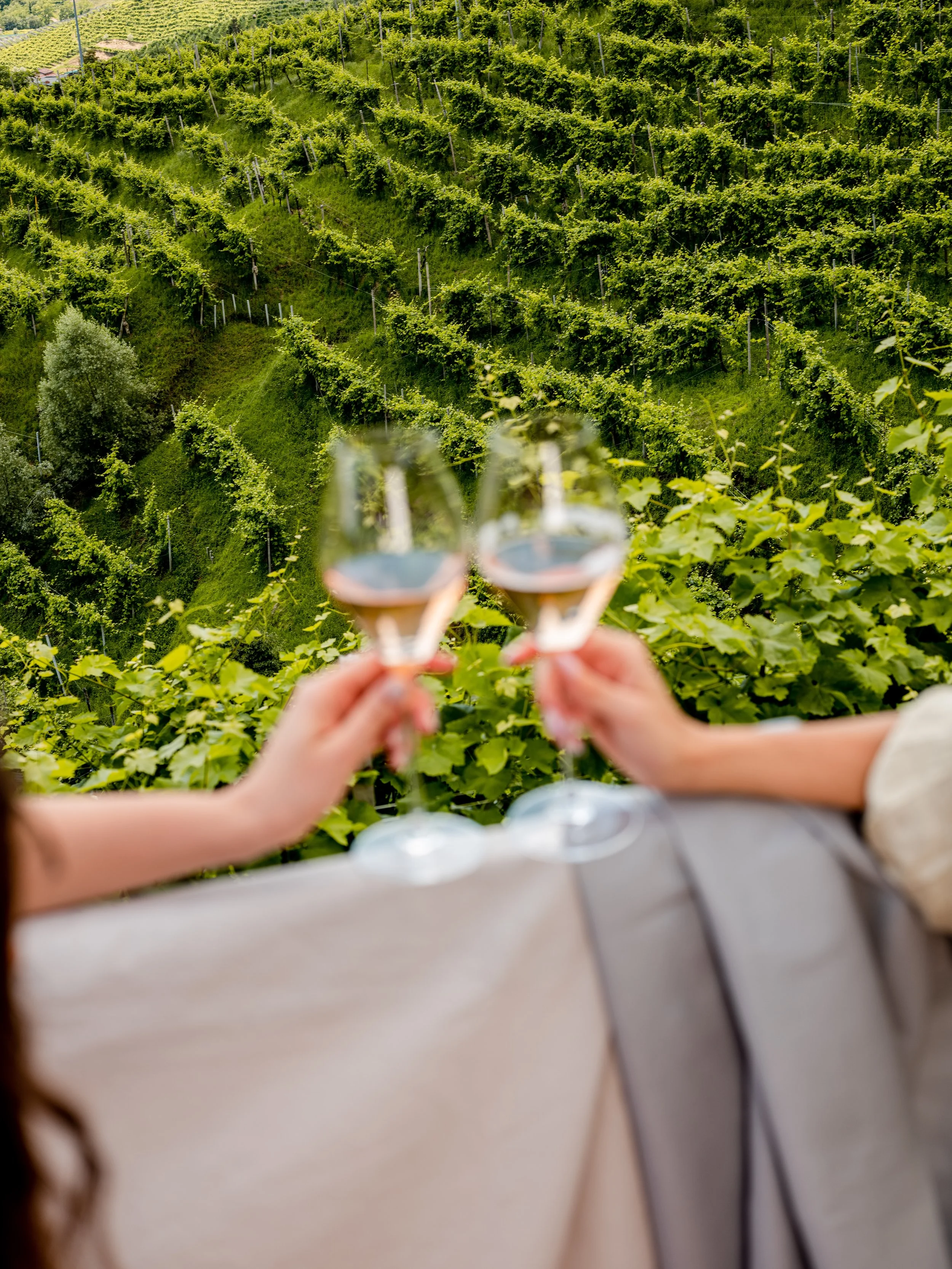 @beatriceimperatophoto_valdocaprosecco-97.jpg