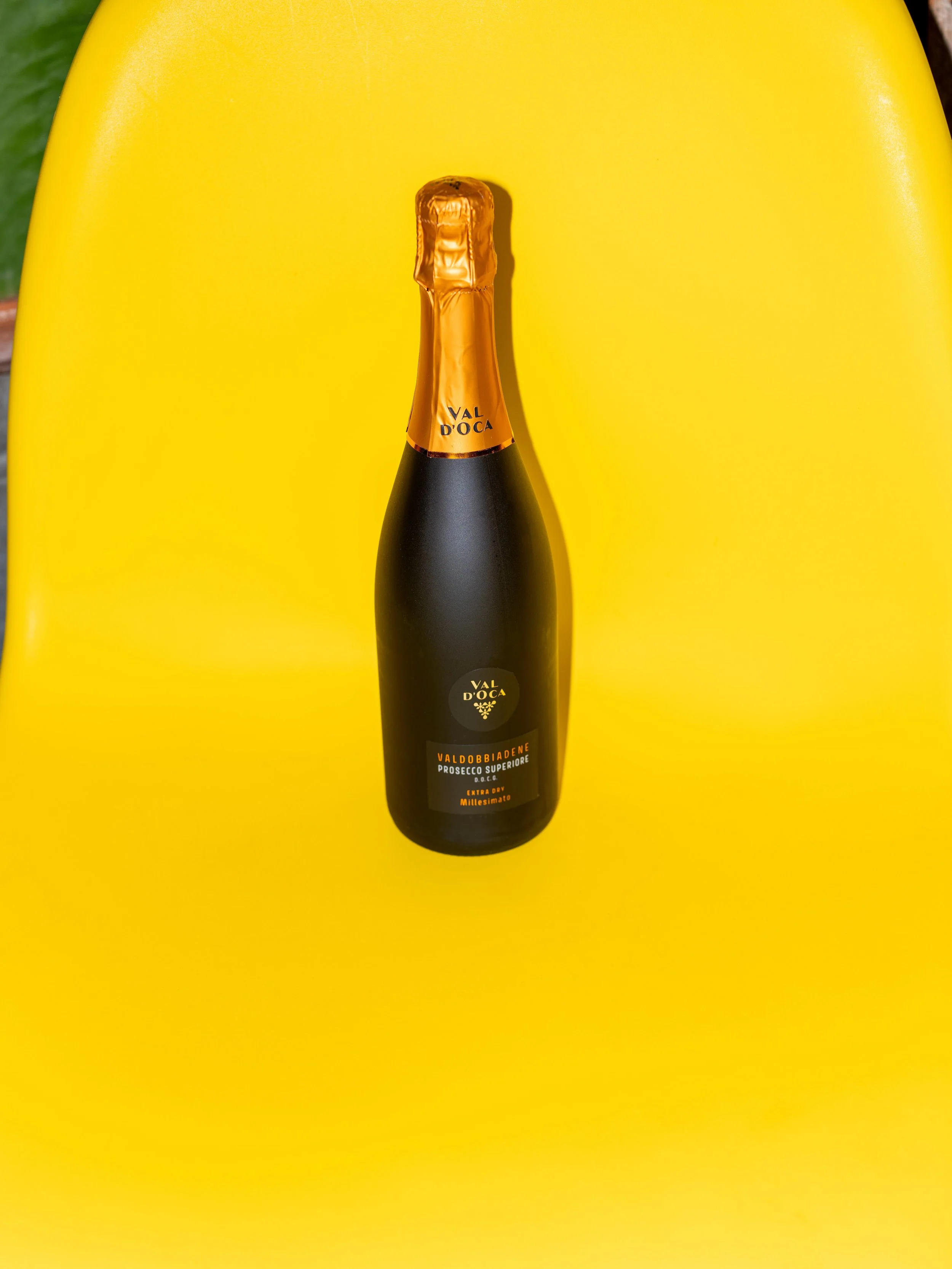 @beatriceimperatophoto_valdocaprosecco-206.jpg
