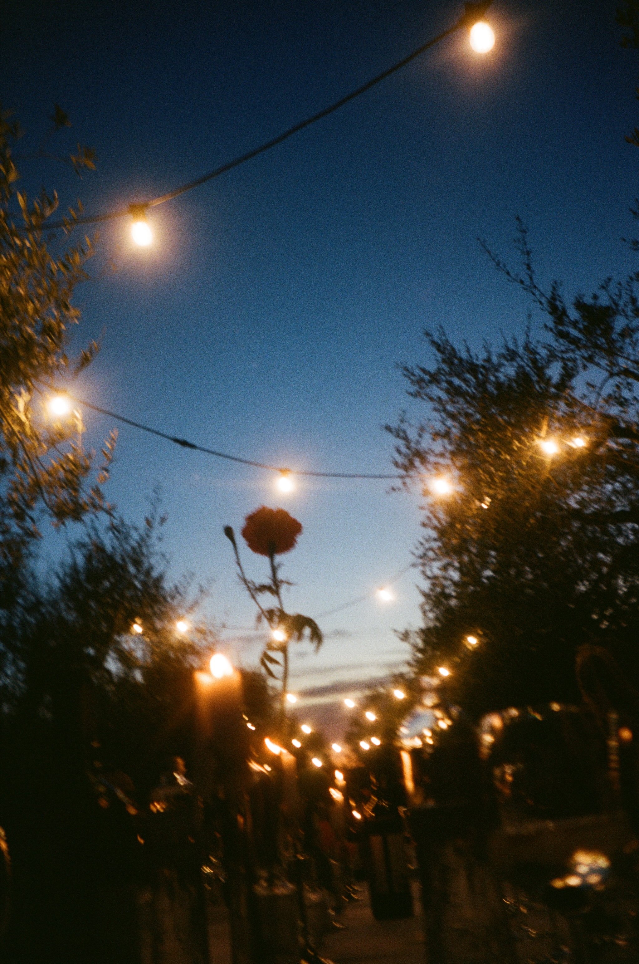 0035_36.jpg
