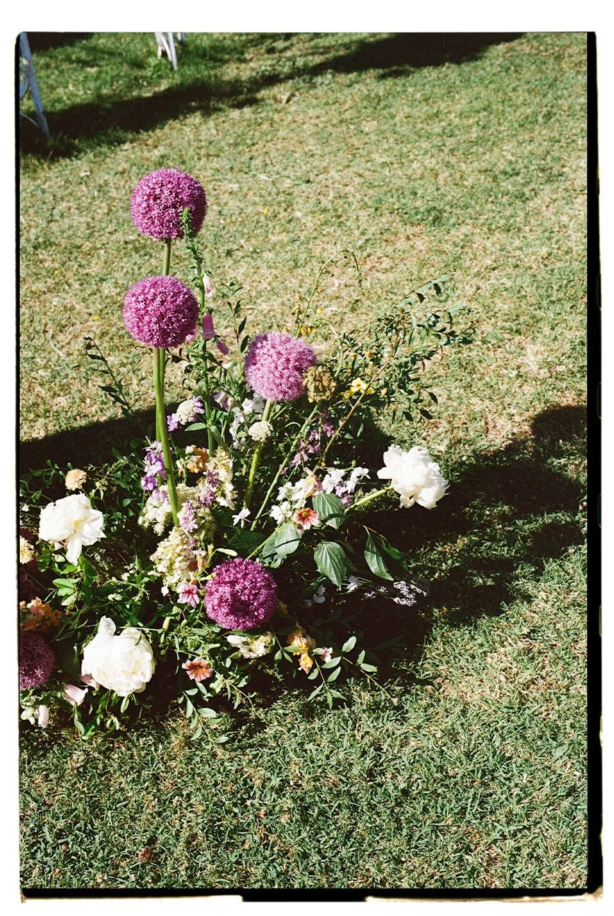 Alma Flower 20.jpg