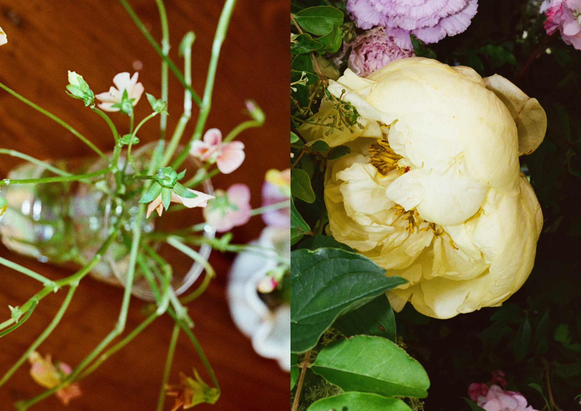 Alma // Event Design