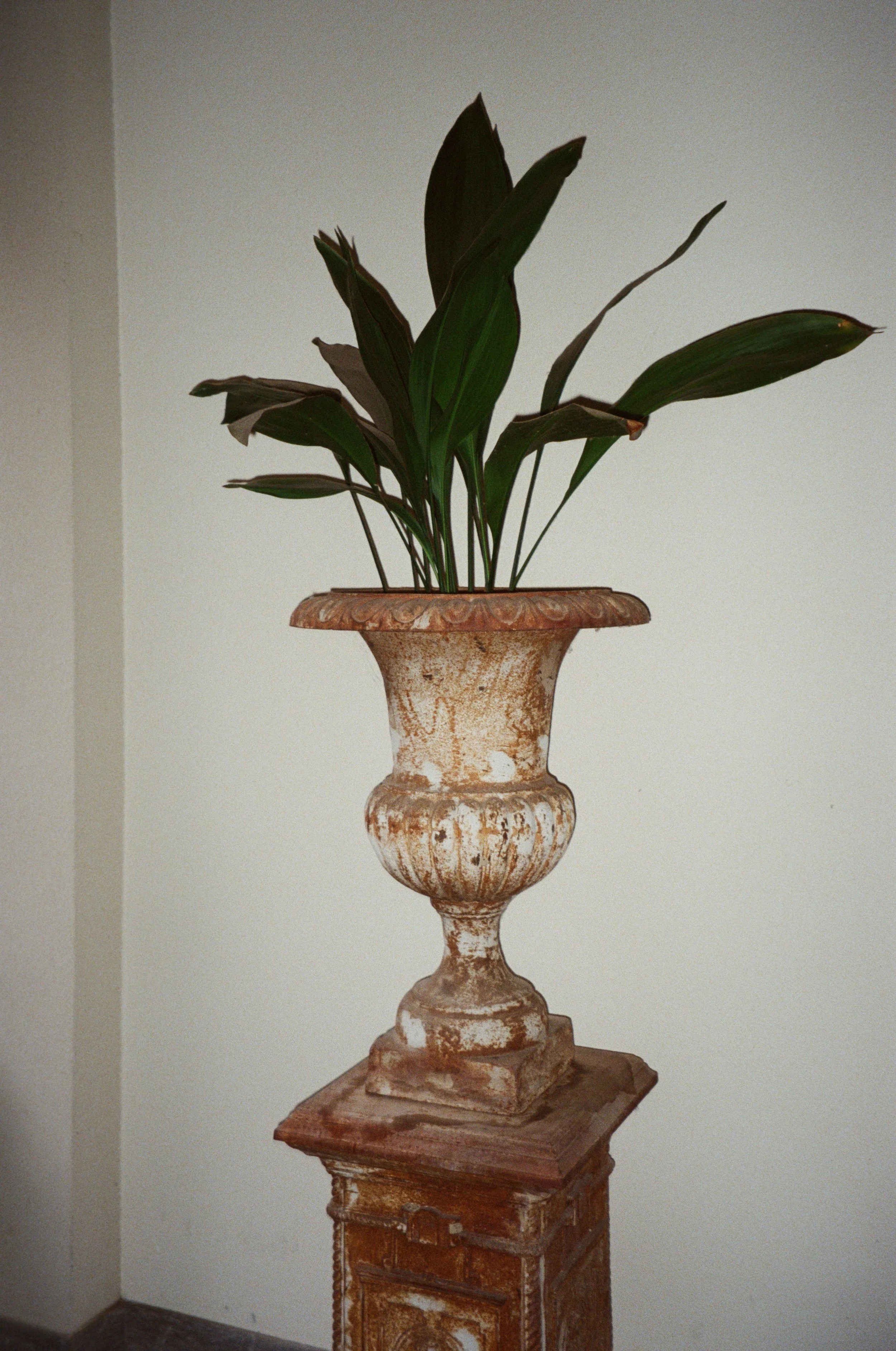 0014_14 (1).jpg