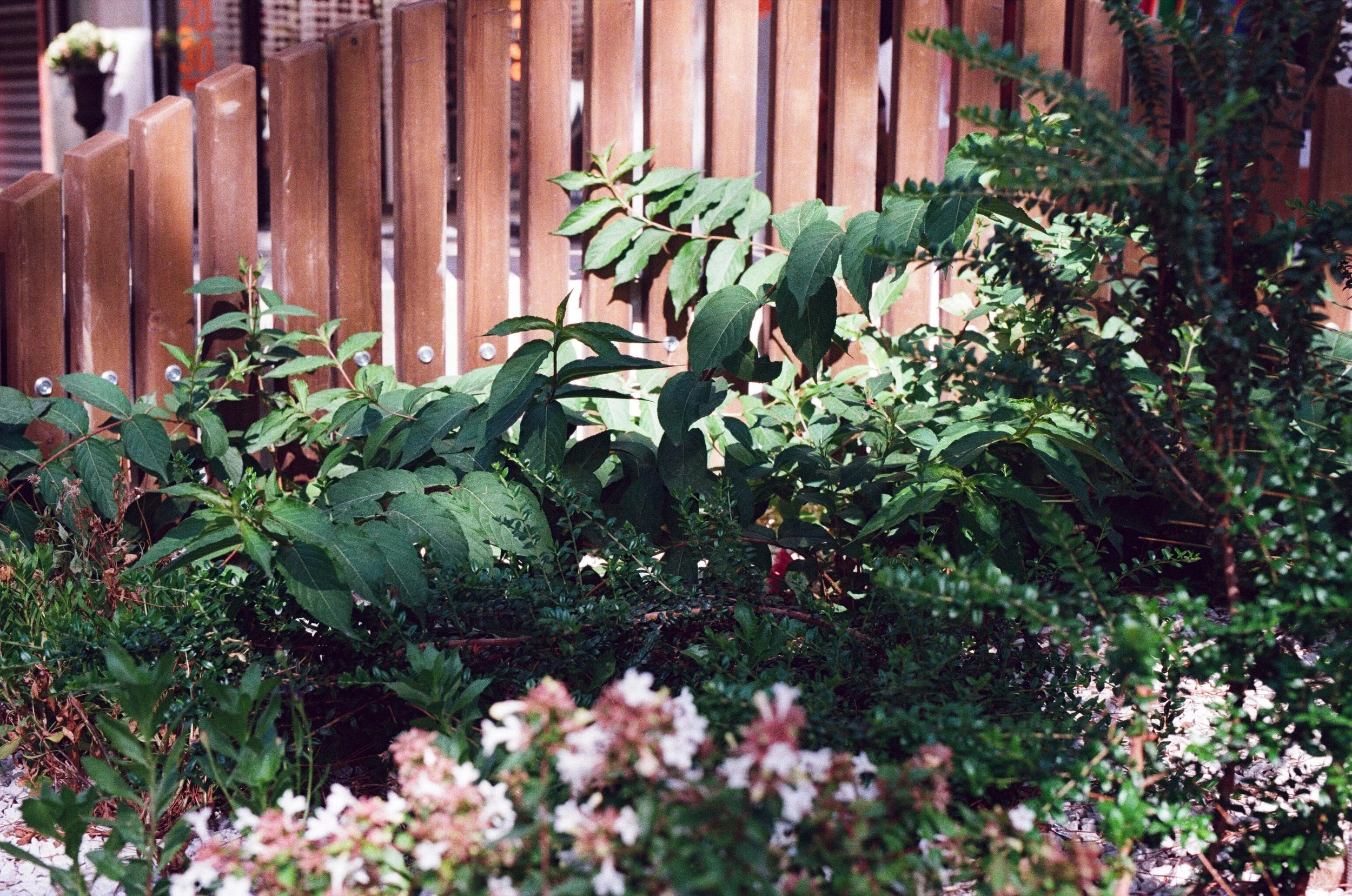 0004_4A (1).jpg