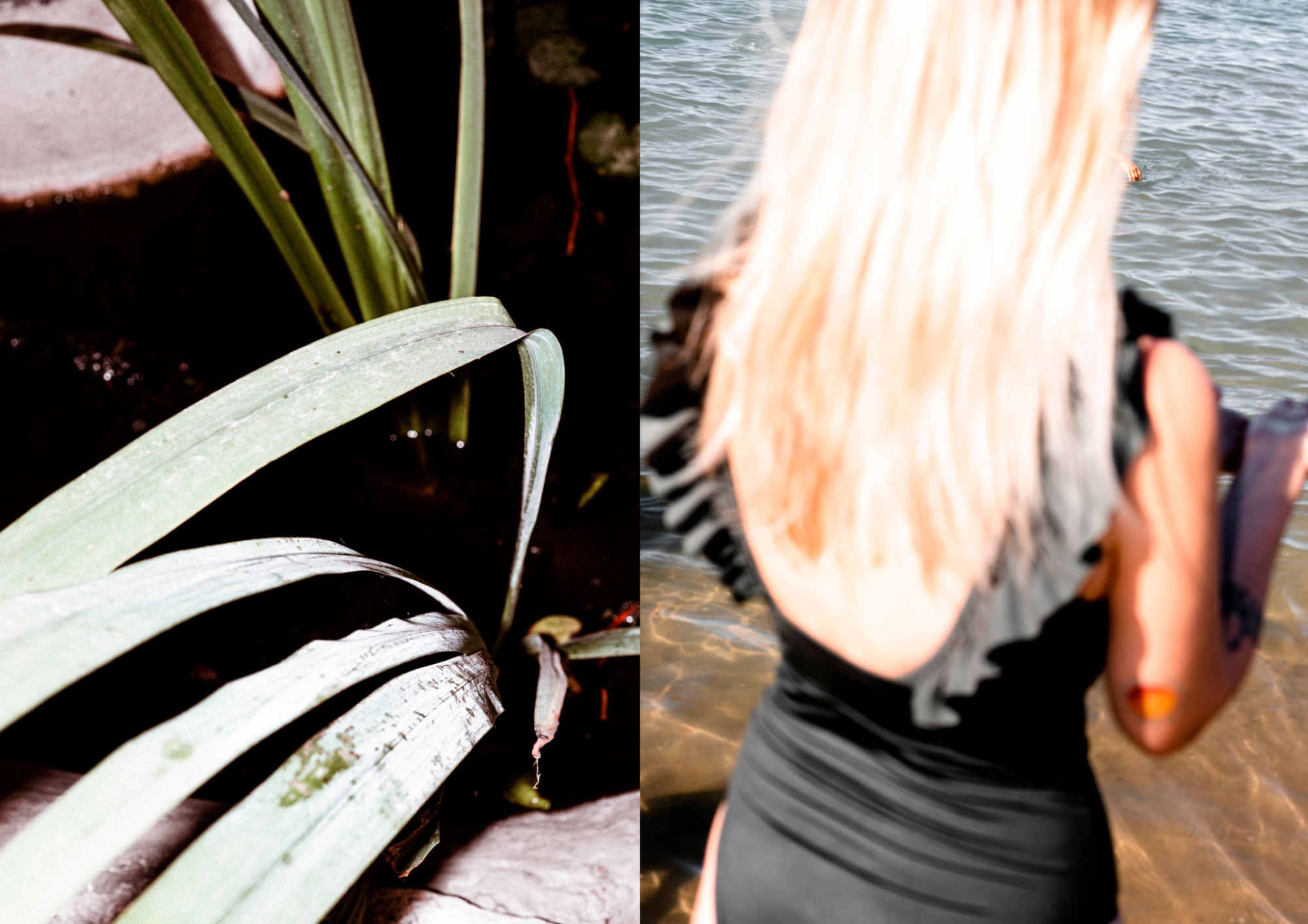 @beatriceimperato.pdf (22).png