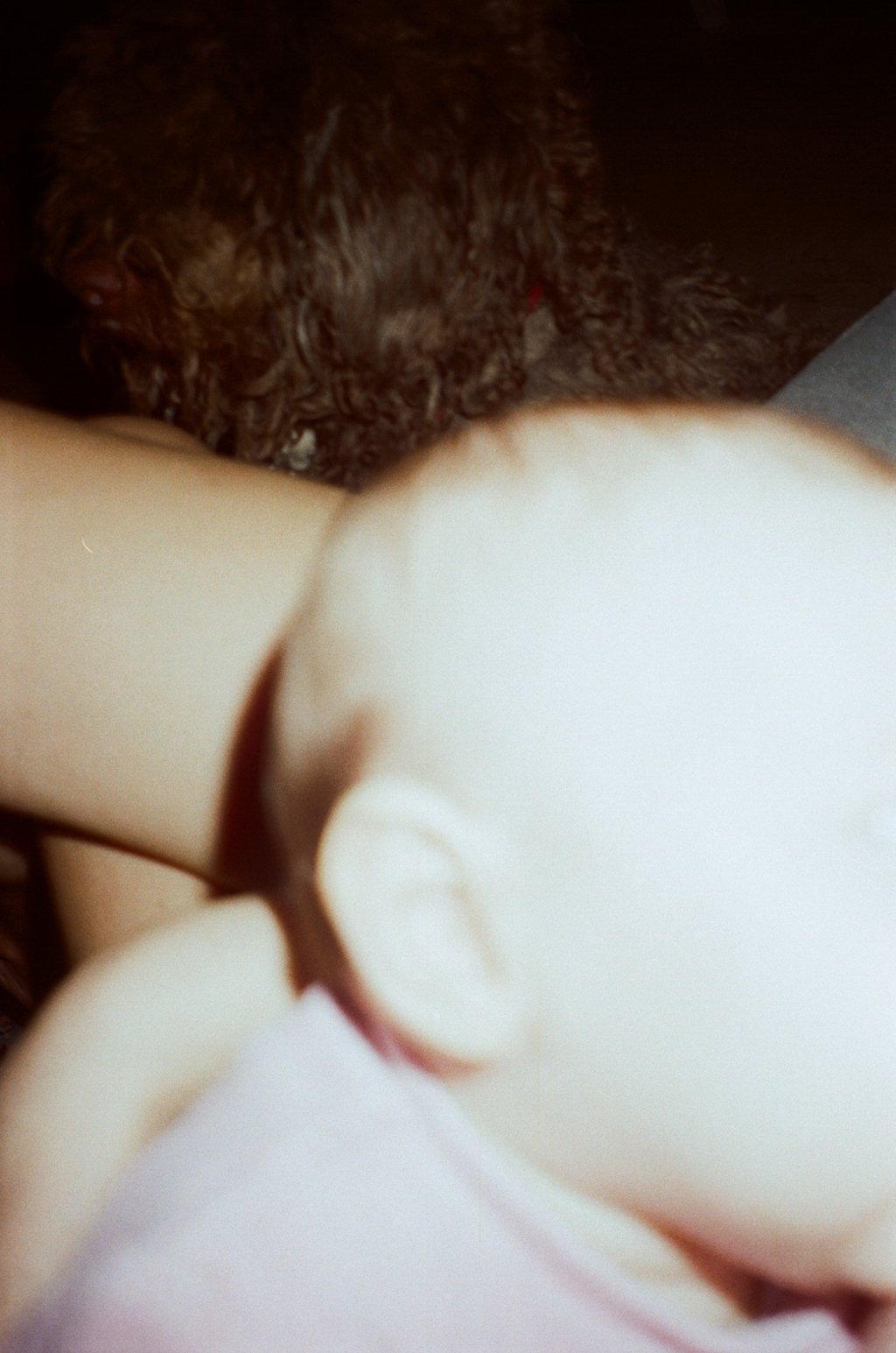 0019_20.jpg
