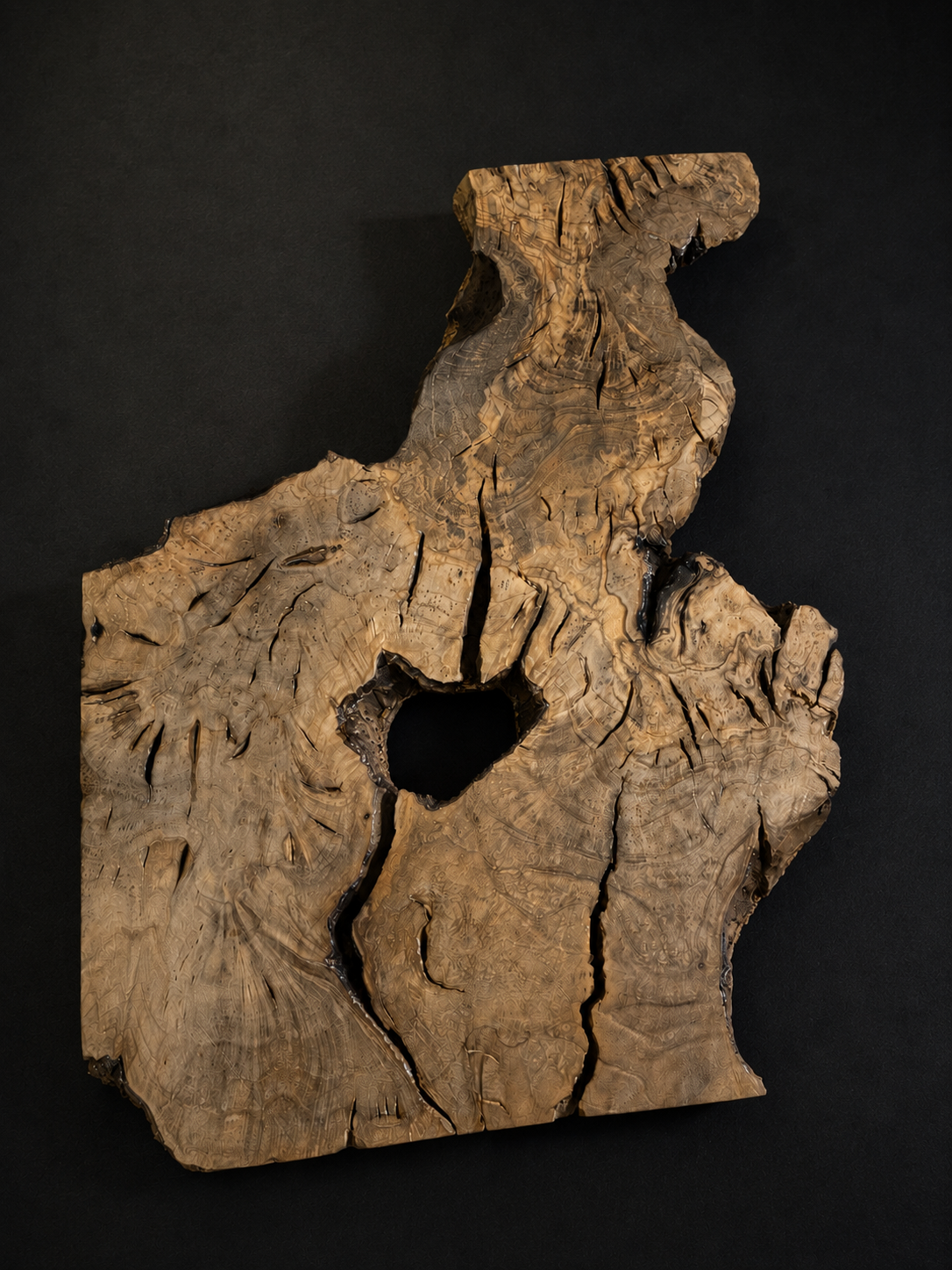 A piece of uniquely shaped, textured wood with a dark background.