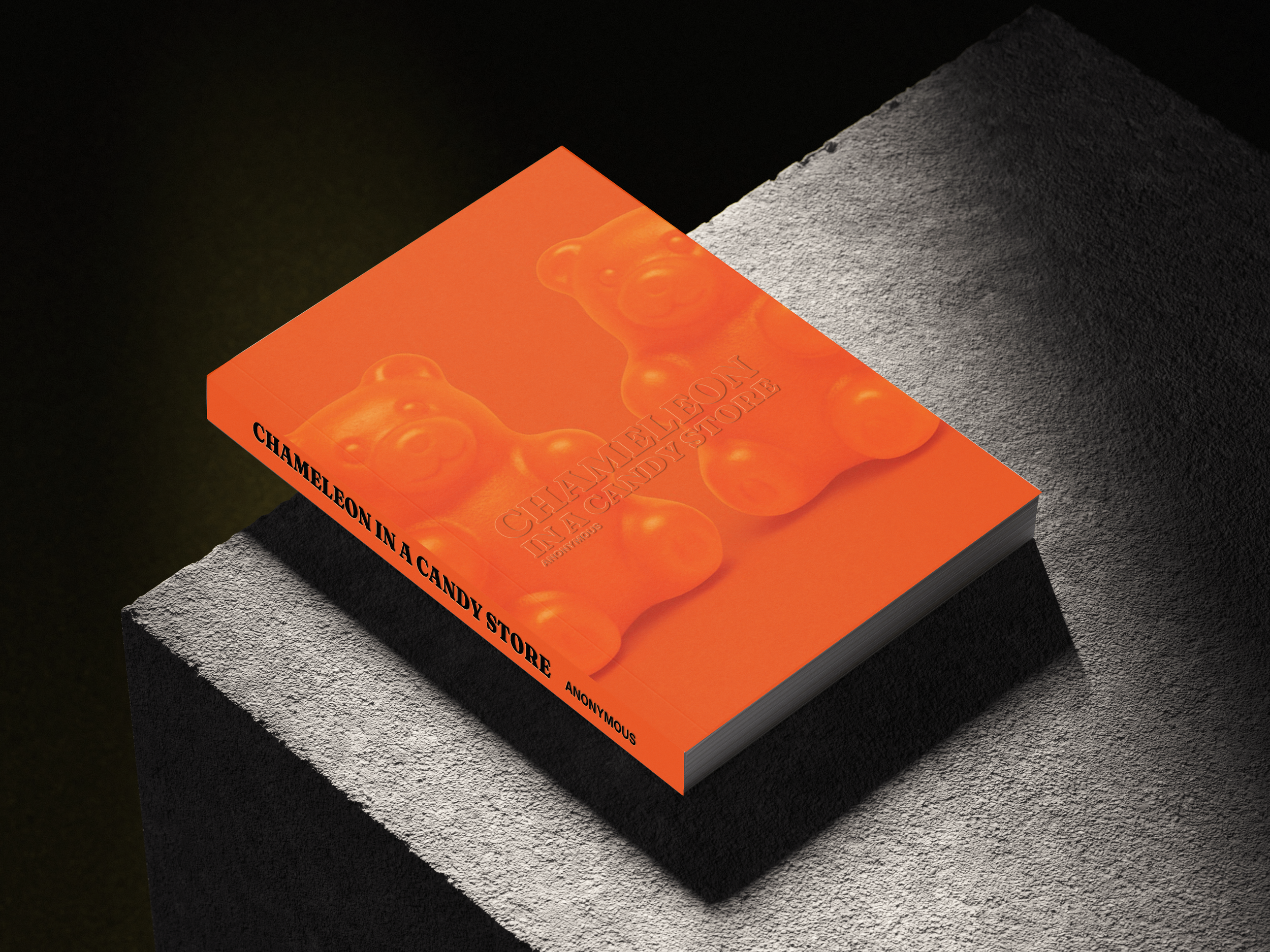 Orange box with bear illustrations and the text 'Cheameleon in a Candy Store' on the cover placed on a gray textured block.