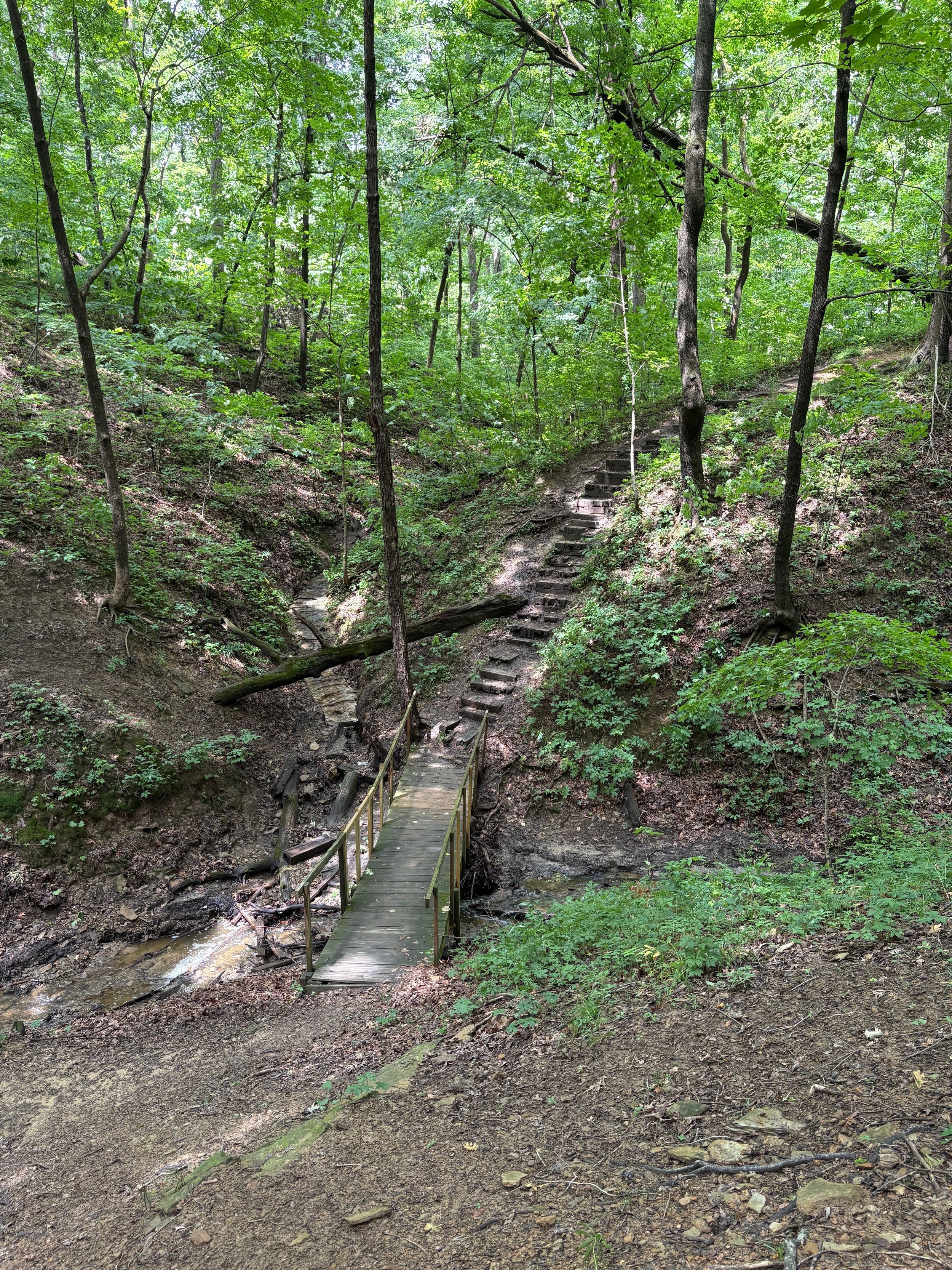 A wooden bridge crossing over a small creek in a wooded area with green trees and a dirt path.
