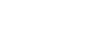 Pro-Bolt logo in black and white.