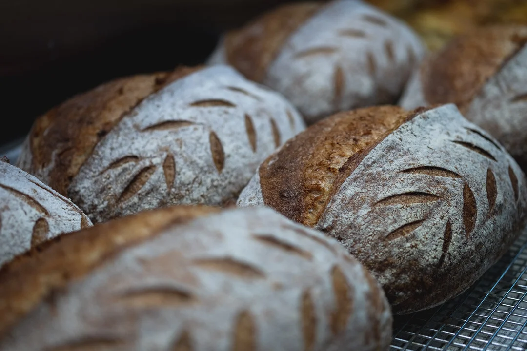 Daily House-made Sourdough (Copy)