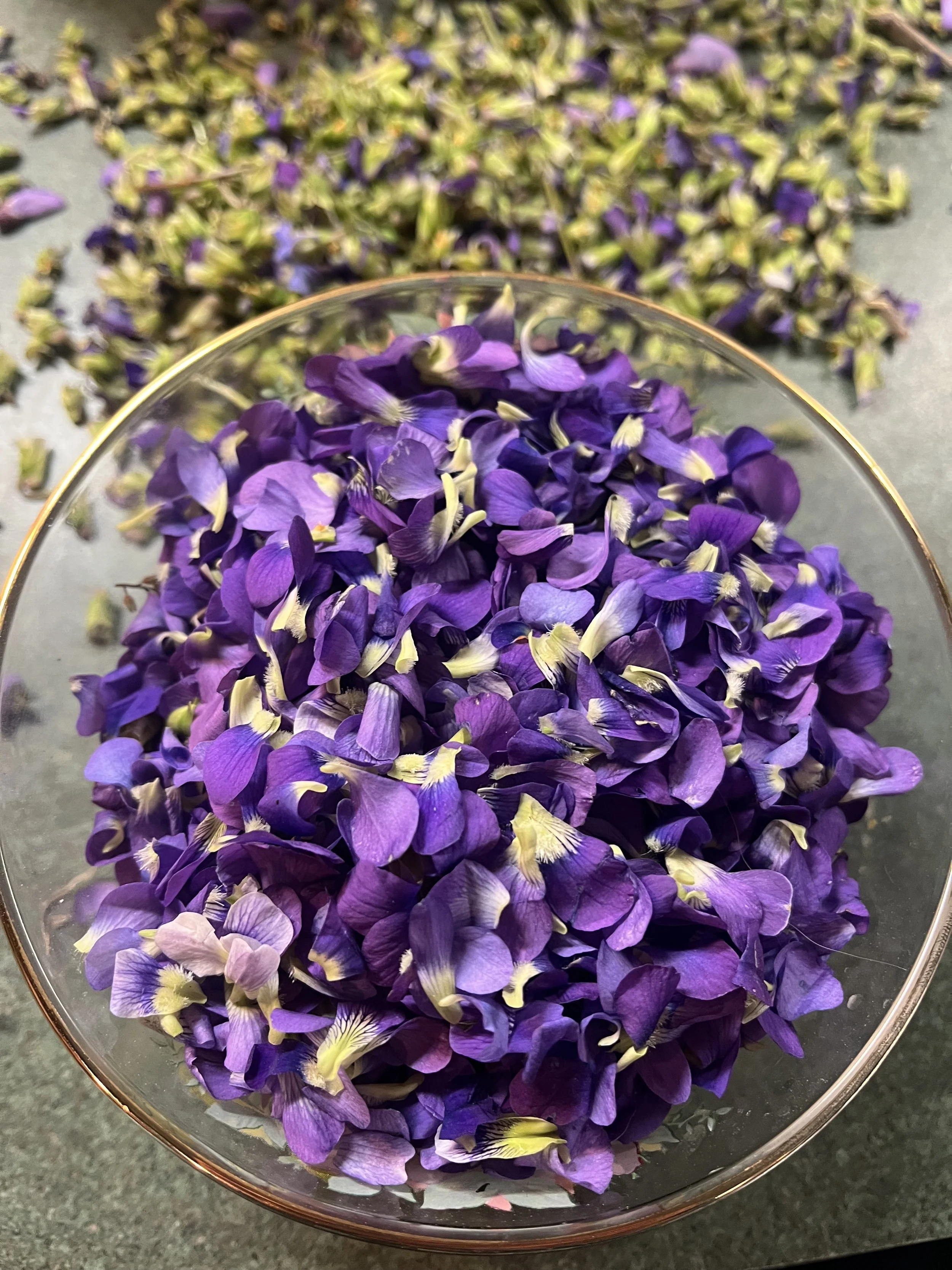 violet2.jpg