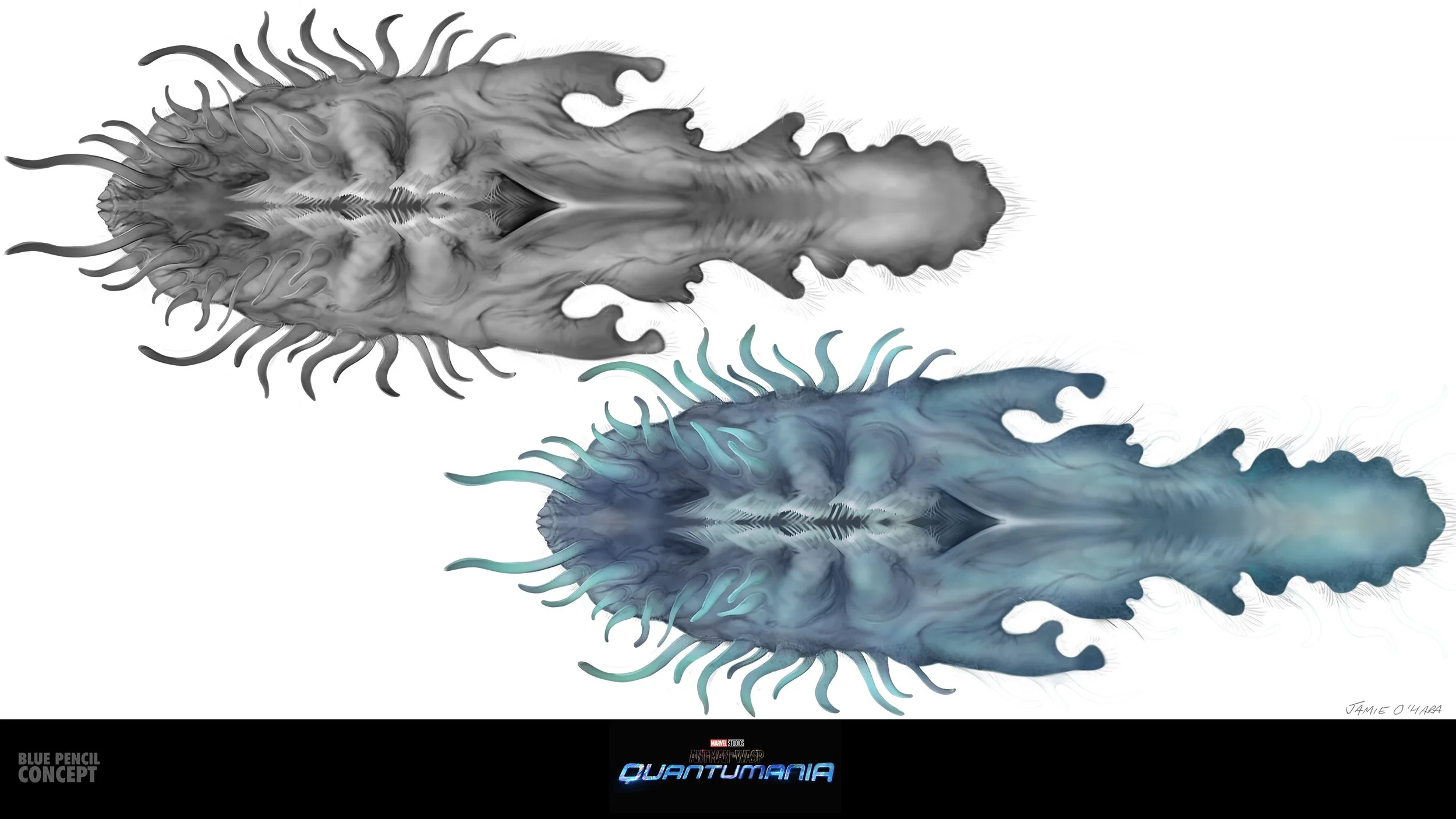 DBY_selects_amoeba_v004.jpg