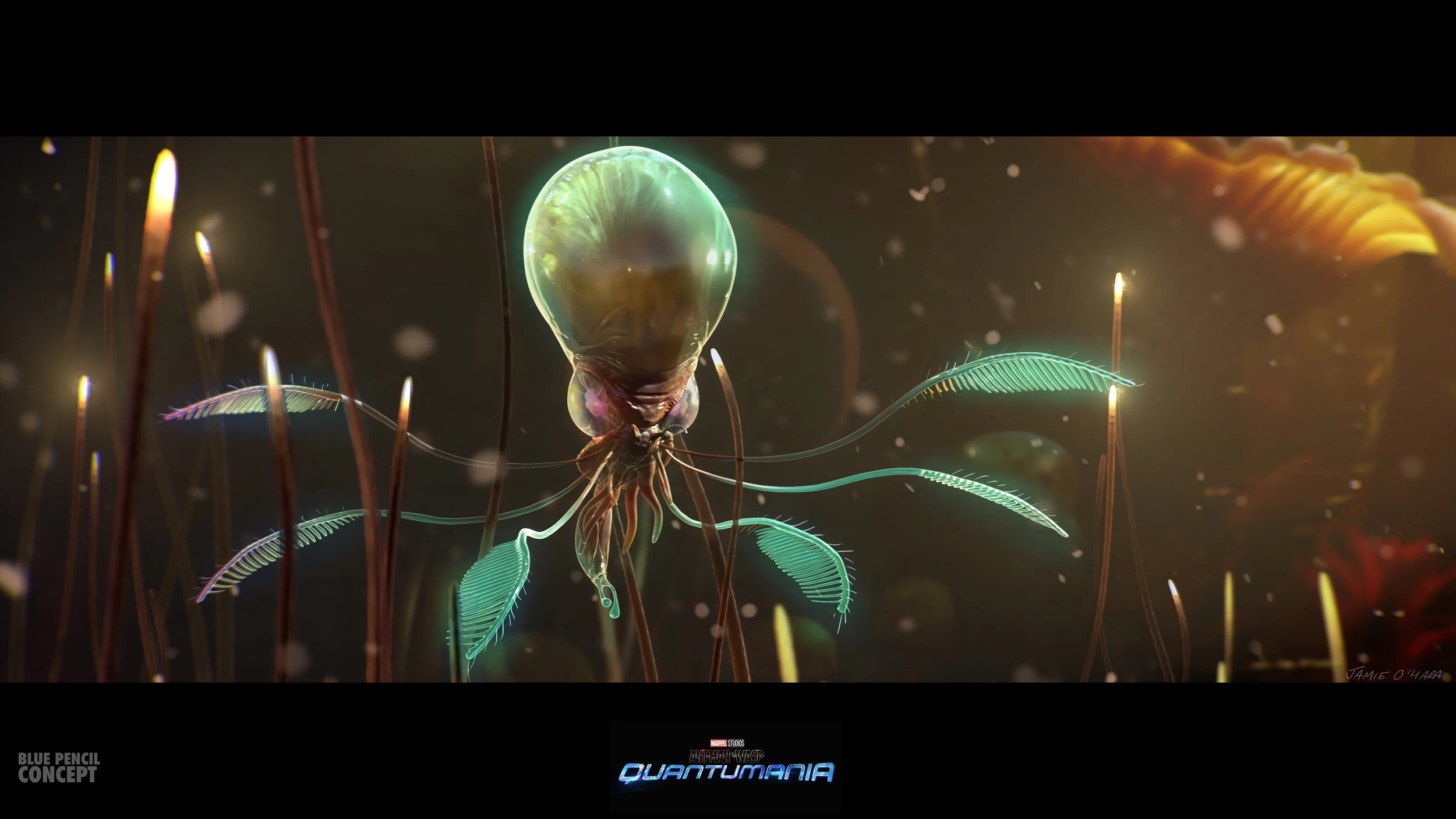 DBY_selects_seedpod_v001.jpg