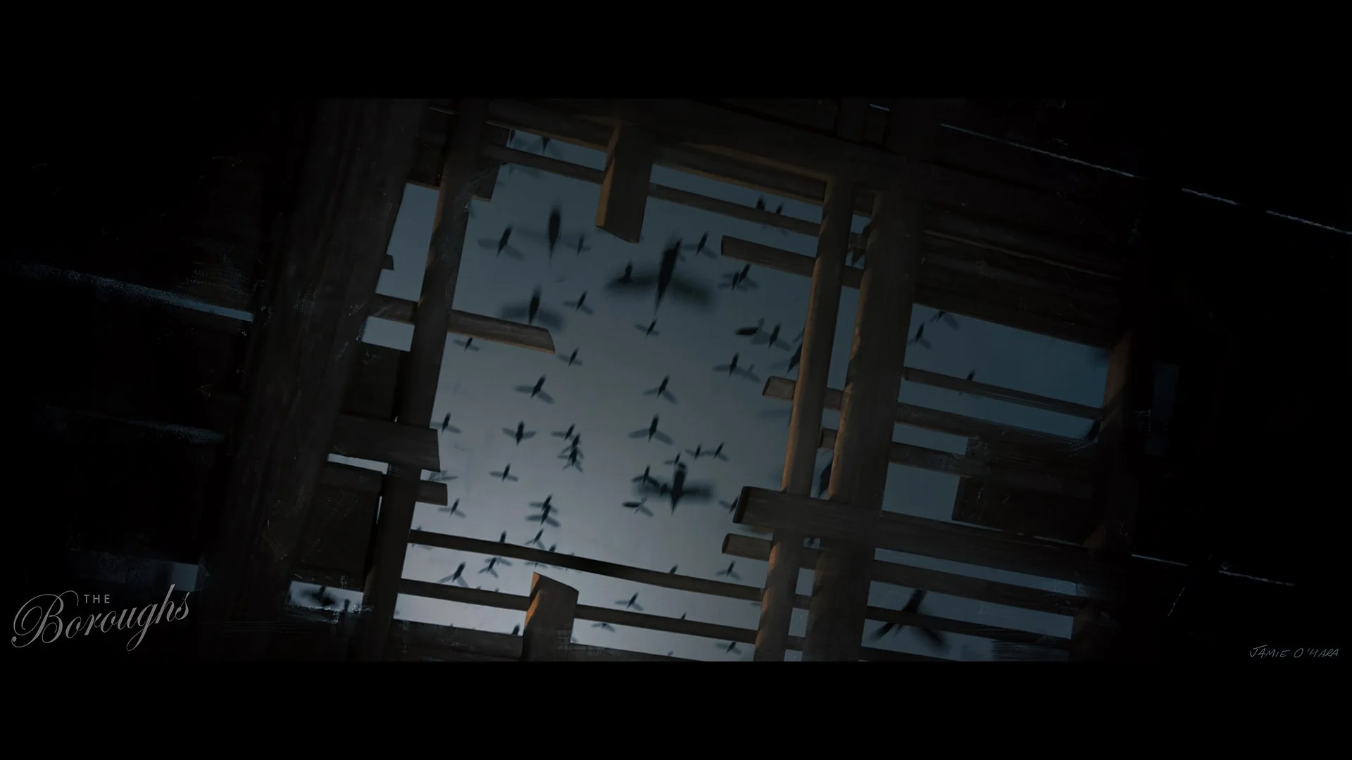 boroughs_birdsHD.jpg