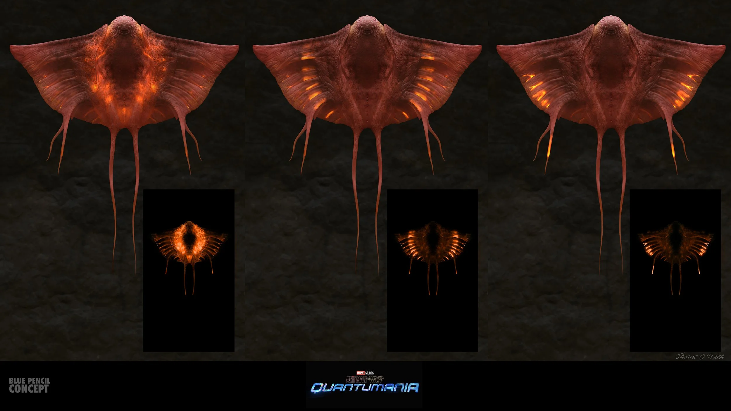 DBY_selects_trilobite_v003.jpg