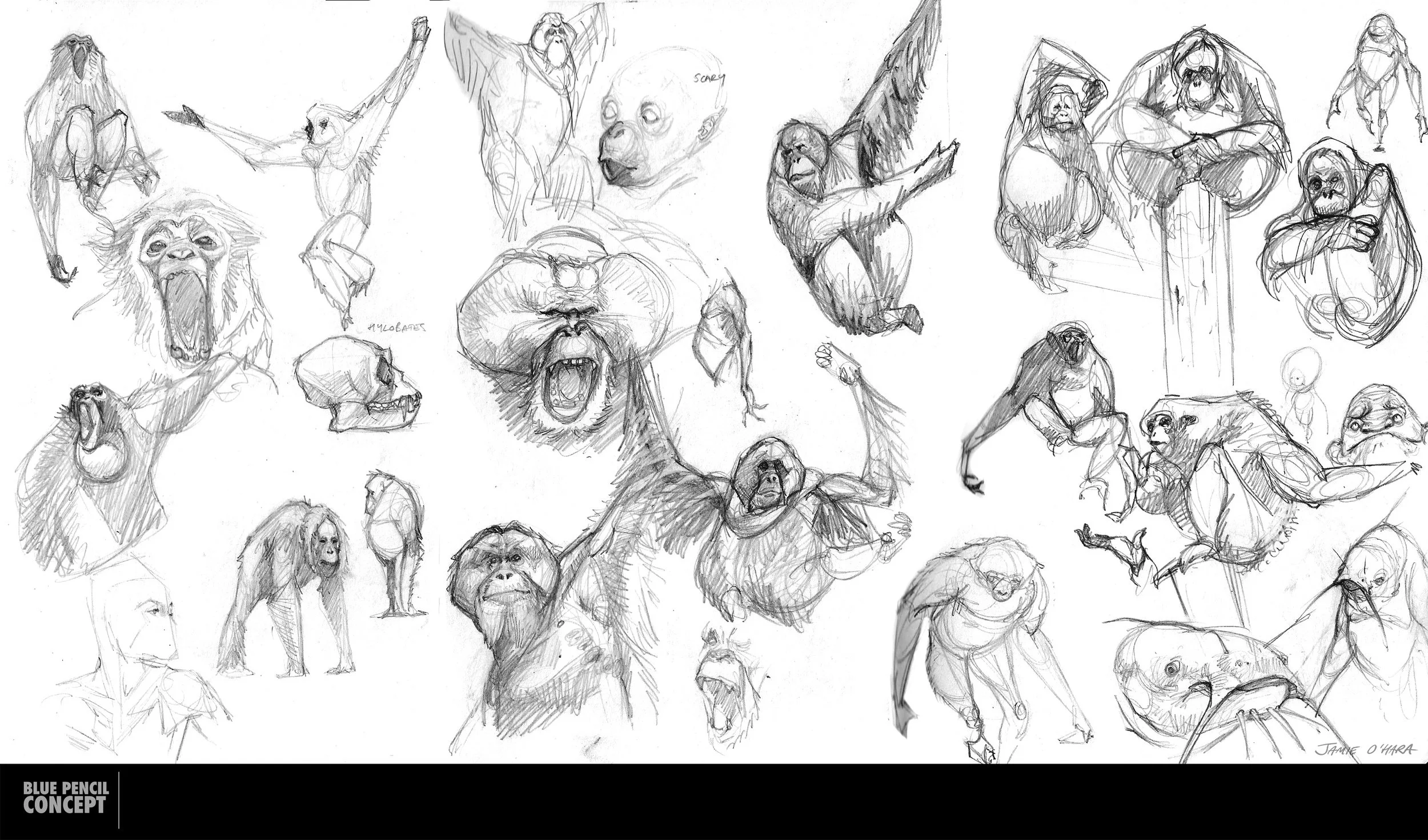 sketches_16_03.jpg