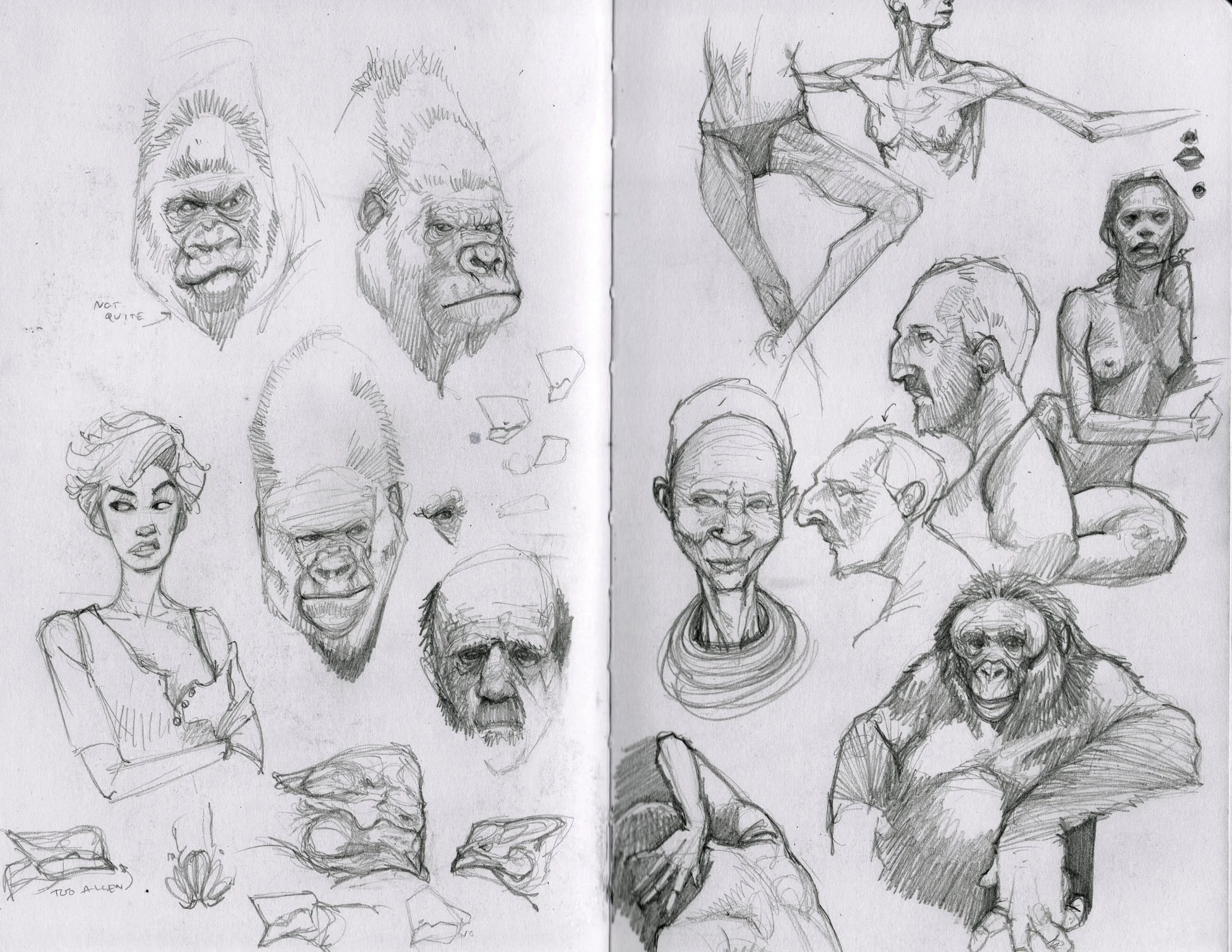 sketchPage_005.jpg