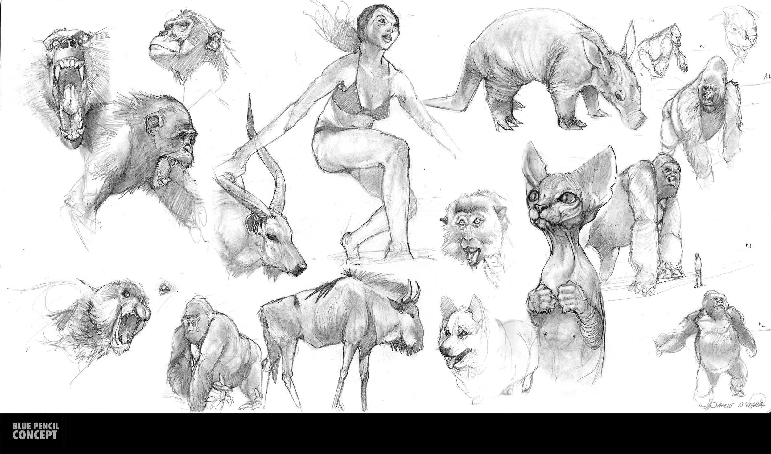 sketches_16_02.jpg