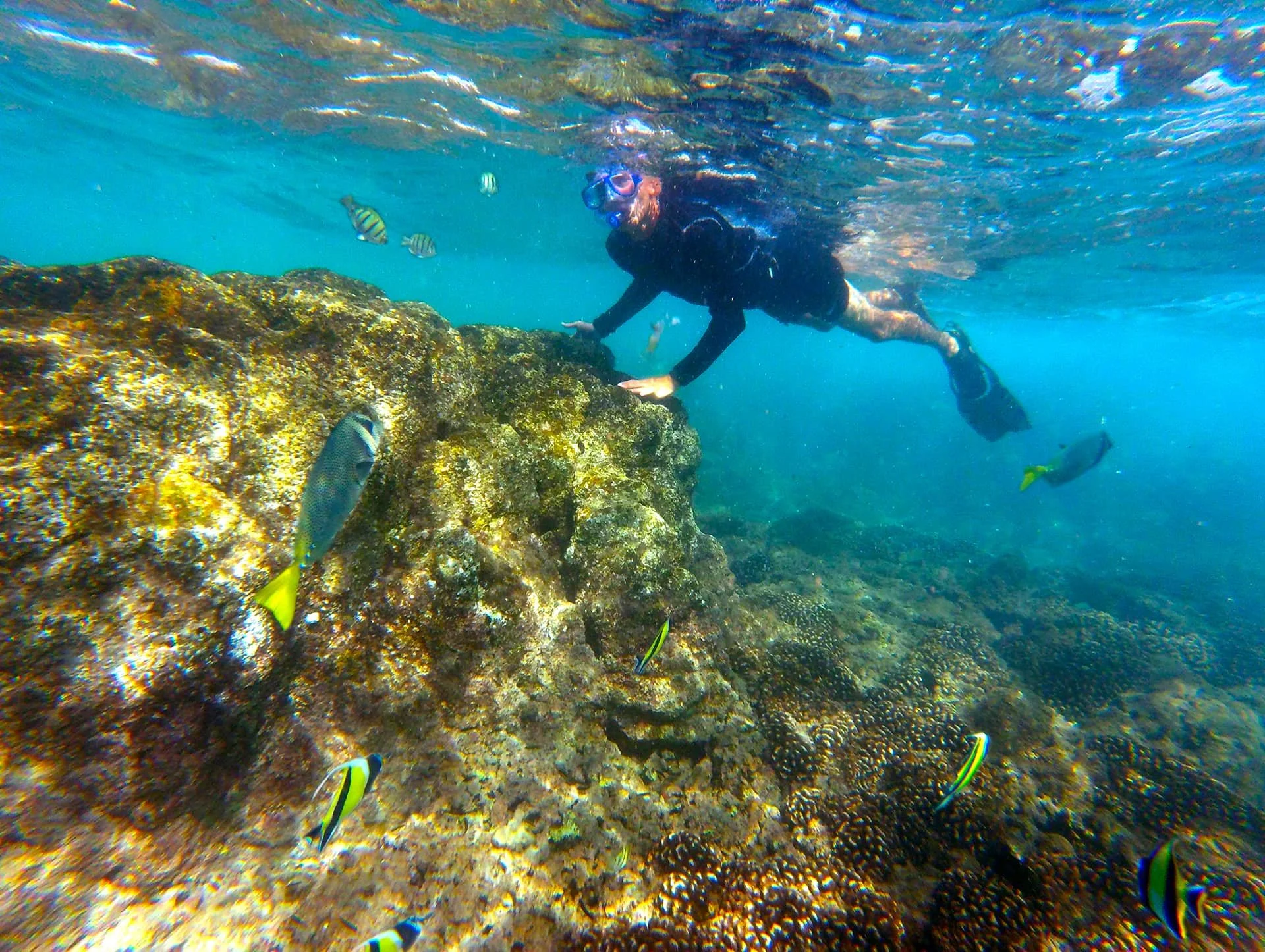 GFALC_Destination_Snorkling-1.jpg