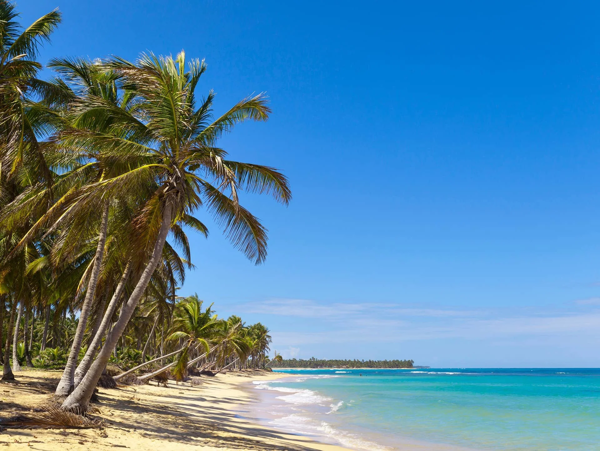LAPC_Destination_5.jpg
