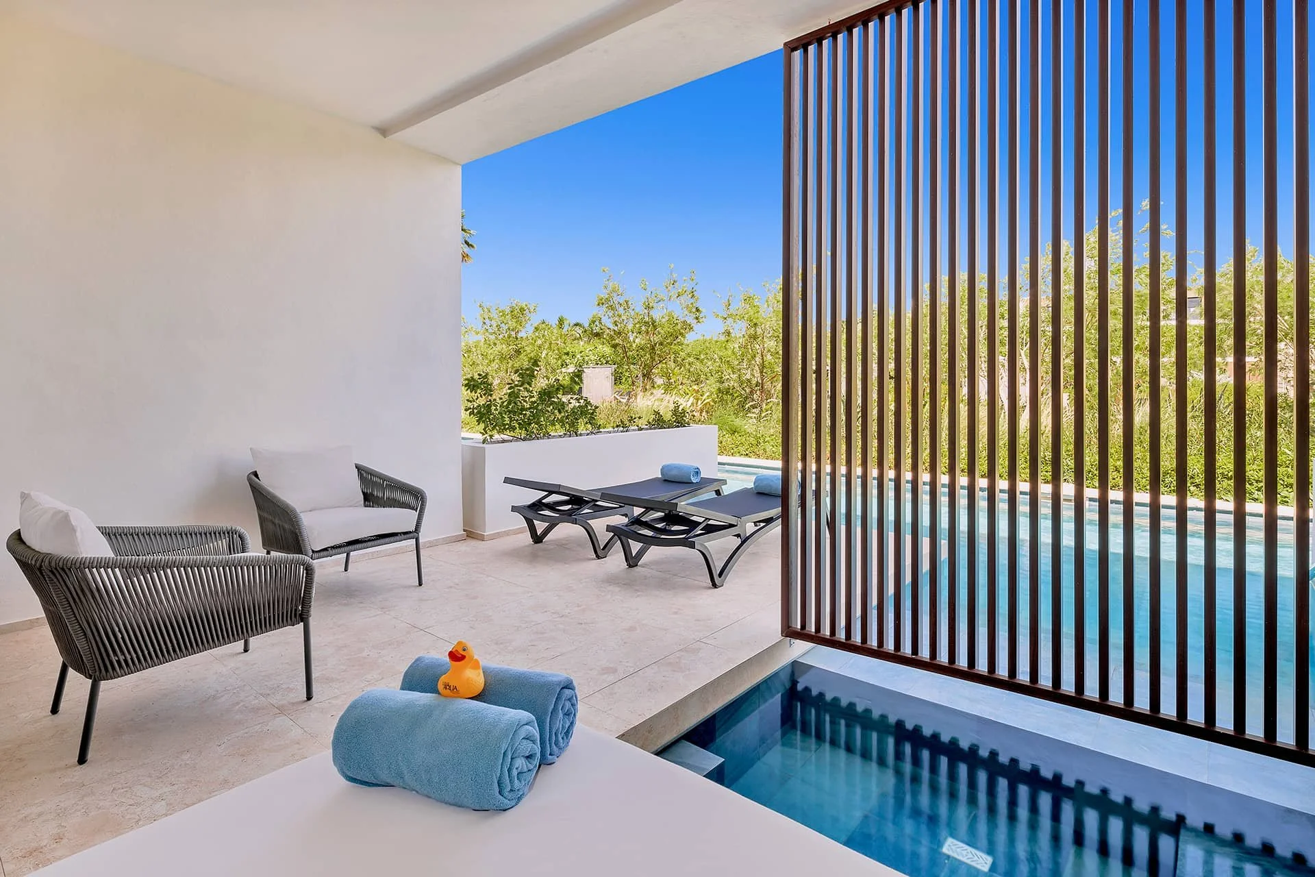 LAPC_A_Aqua_Junior_Suite_Swim-Up-Pool-View (1).jpg